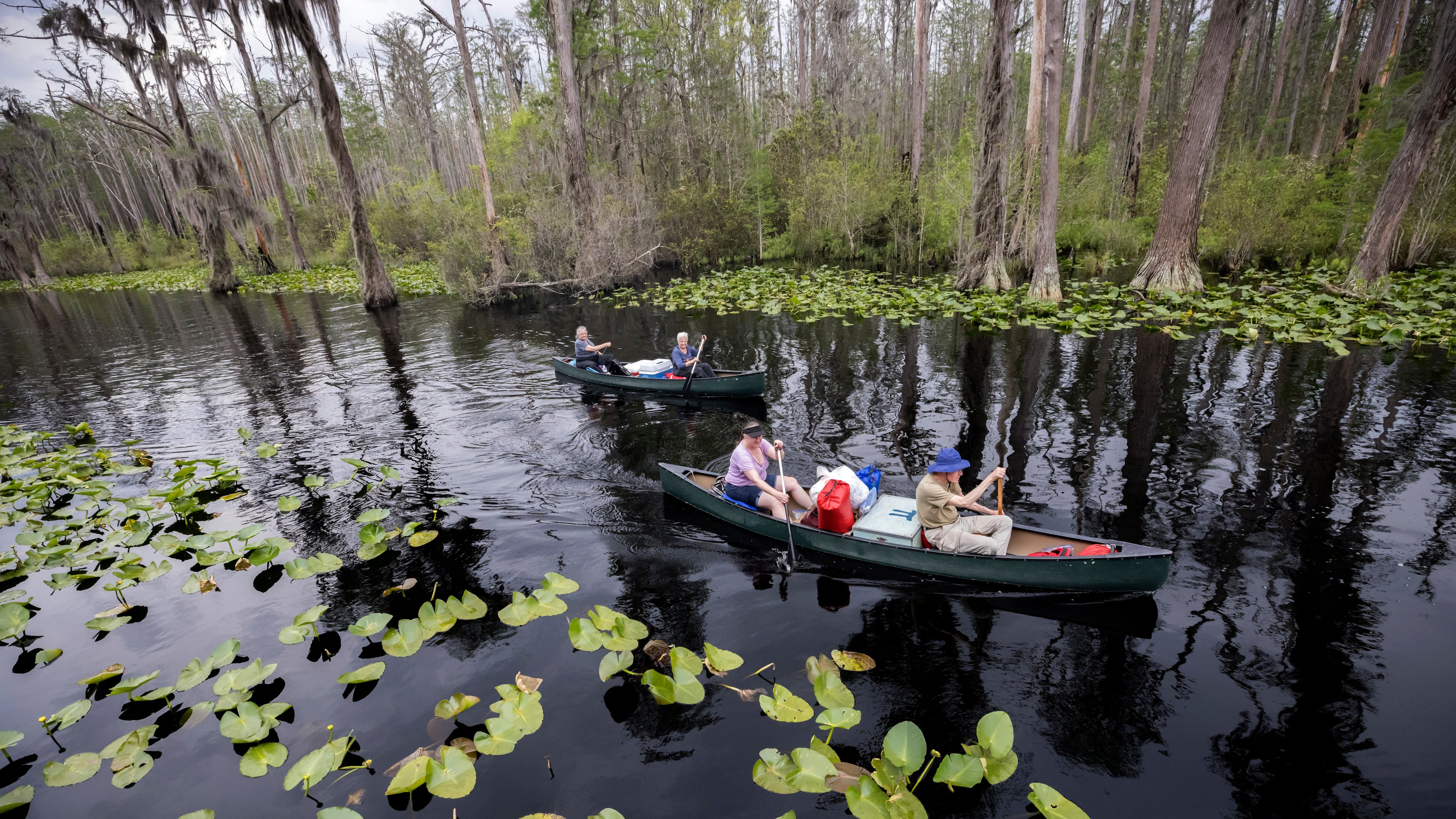 The Georgia Department of Natural Resources recently announced Stephen C. Foster State Park will be renamed Okefenokee State Park. (Stephen B. Morton/AP 2022)