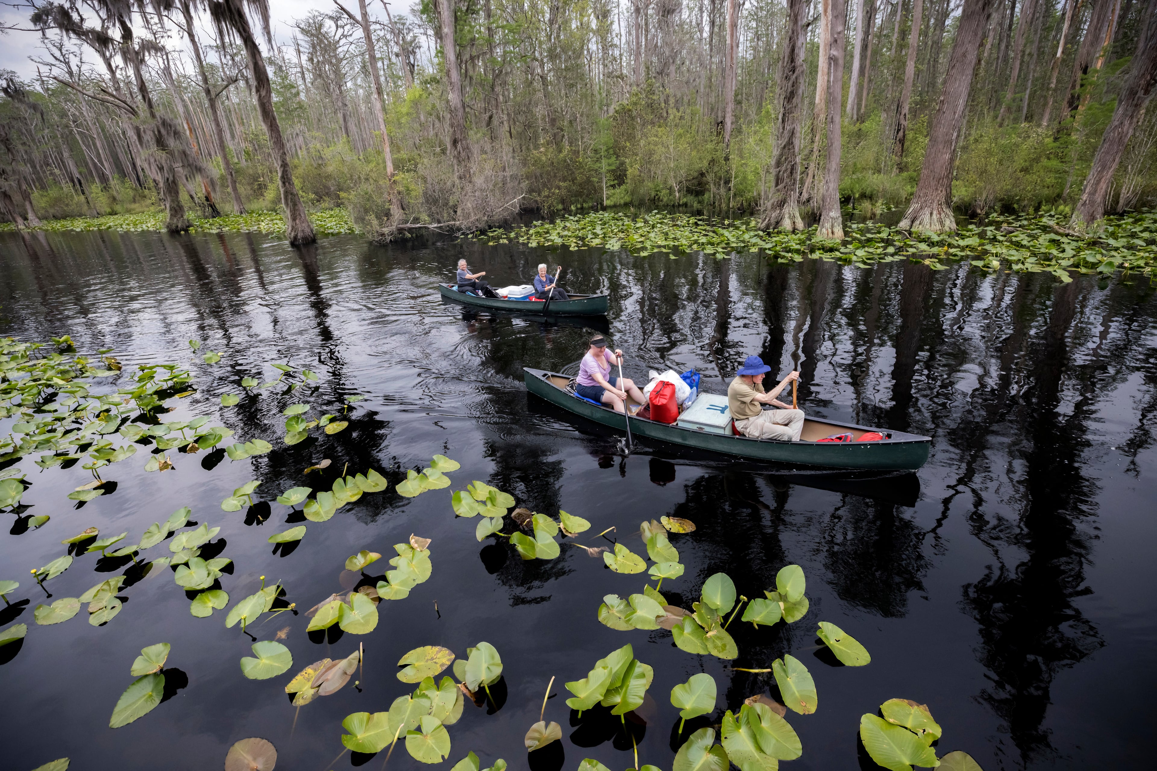 The Georgia Department of Natural Resources recently announced Stephen C. Foster State Park will be renamed Okefenokee State Park. (Stephen B. Morton/AP 2022)