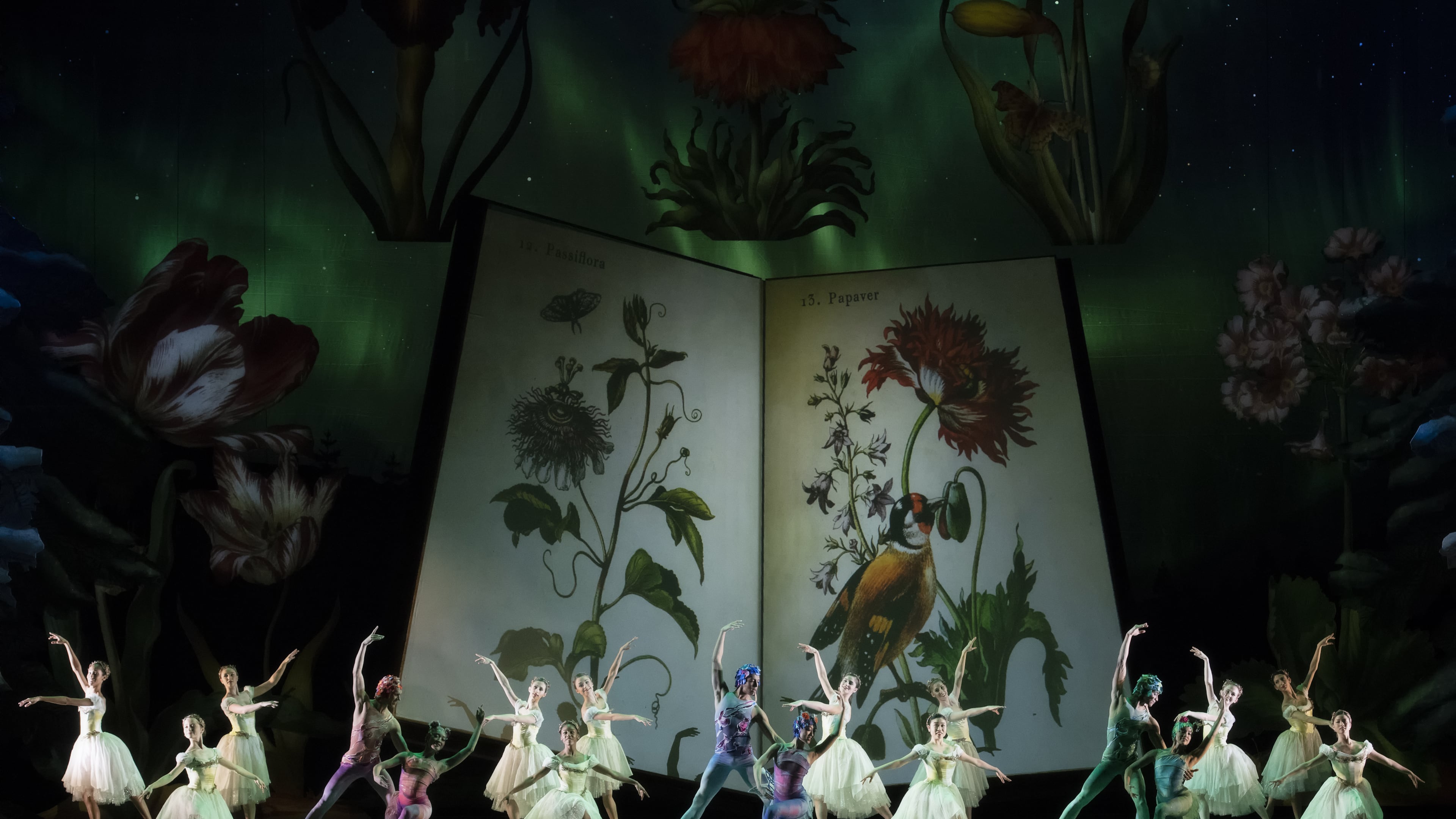 The first production in the new season of the Atlanta Ballet will be "The Nutcracker," choreographed by Yuri Possokhov and presented this December. Photo: the Atlanta Ballet