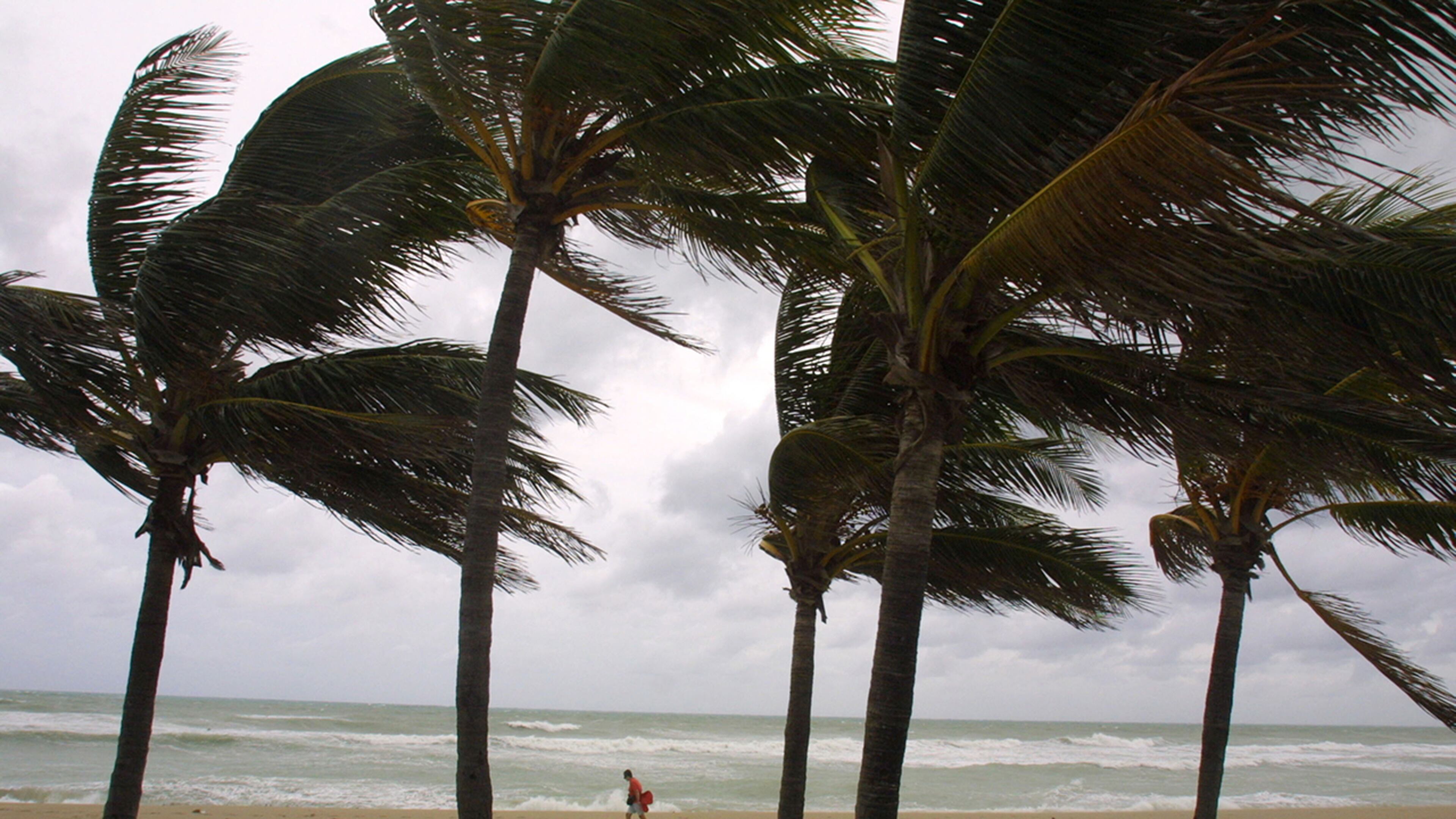 (Photo by Joe Raedle/Getty Images)