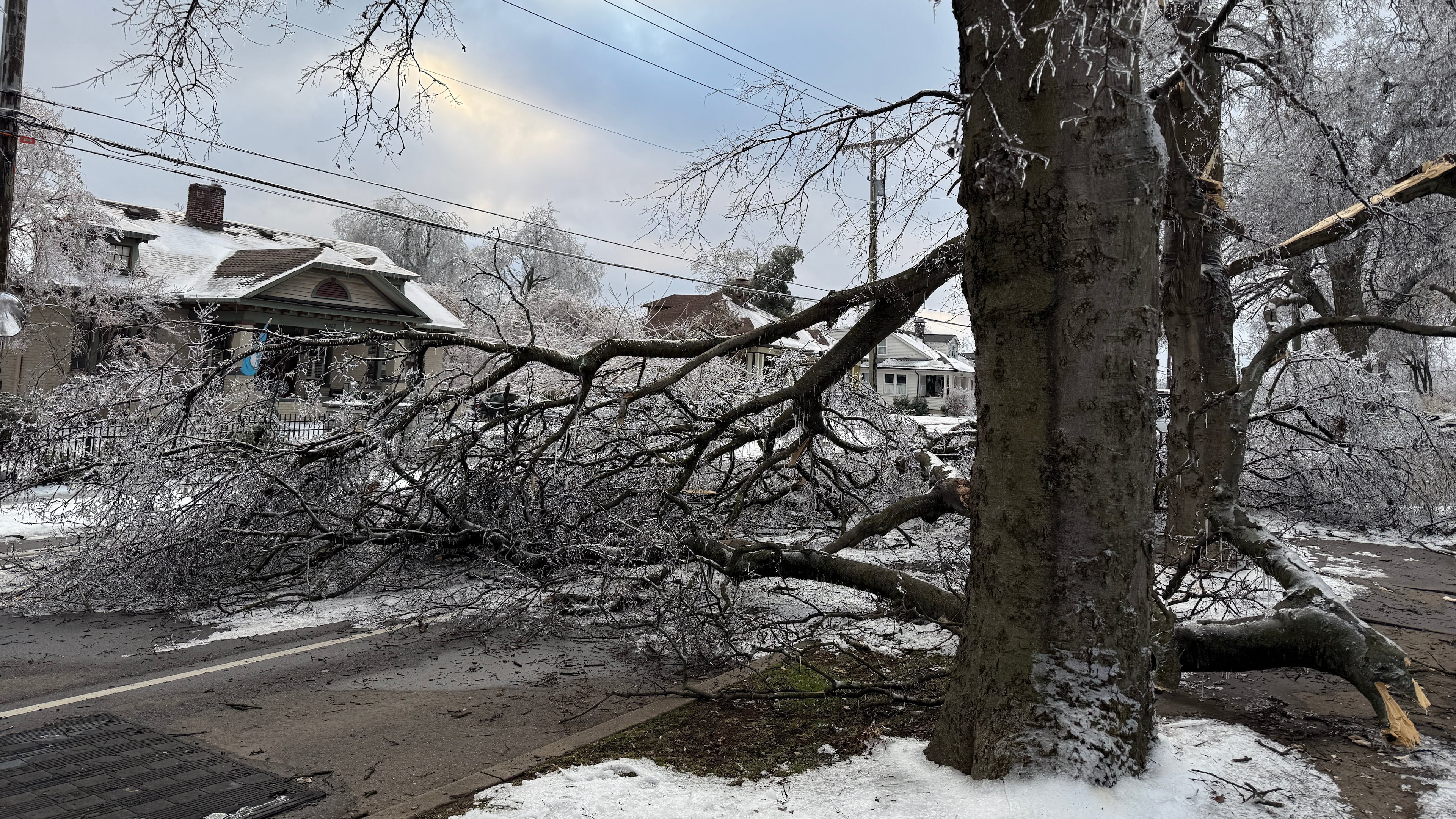 A tree blocks the road days after an ice storm in Nashville, Tenn., on Tuesday, Jan. 27, 2026. (AP Photo/Travis Loller)