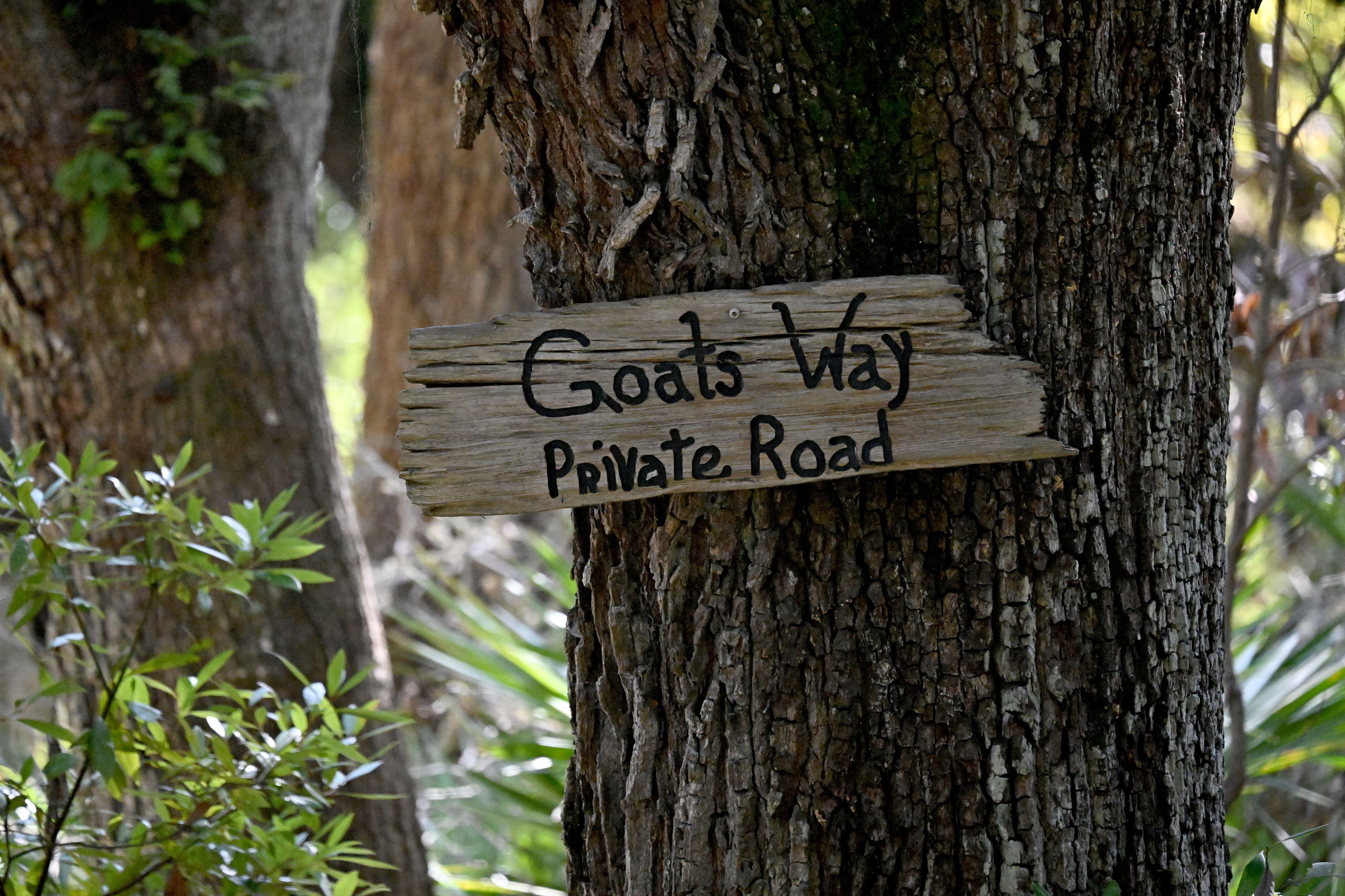 A private road sign is posted off the main dirt road on Cumberland Island, most of which is owned by the federal government and nonprofits. (Hyosub Shin/AJC)