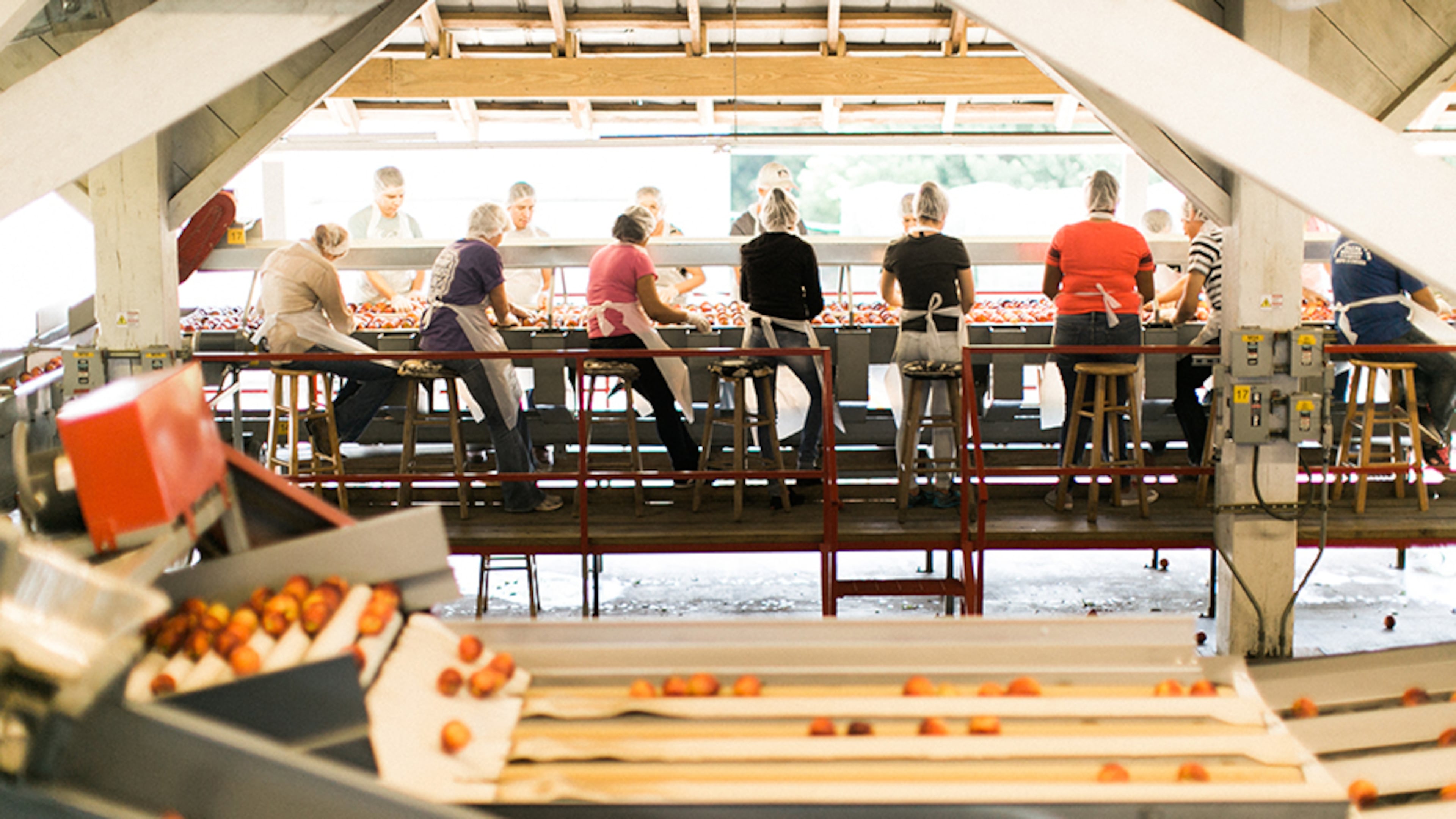 Dickey Farms in Musella has award-winning peach ice cream at its family-owned peach stand and market.