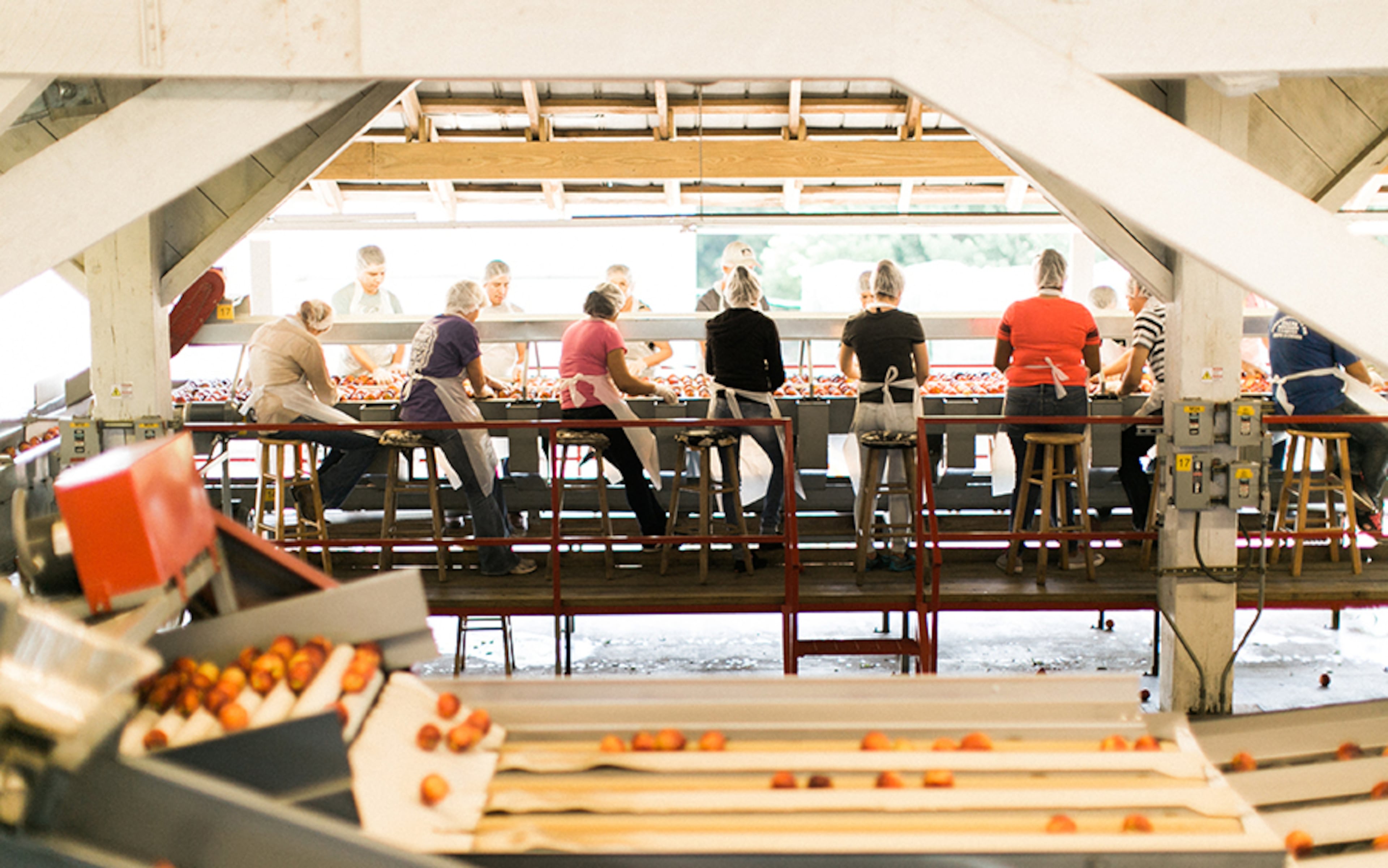 Dickey Farms in Musella has award-winning peach ice cream at its family-owned peach stand and market.