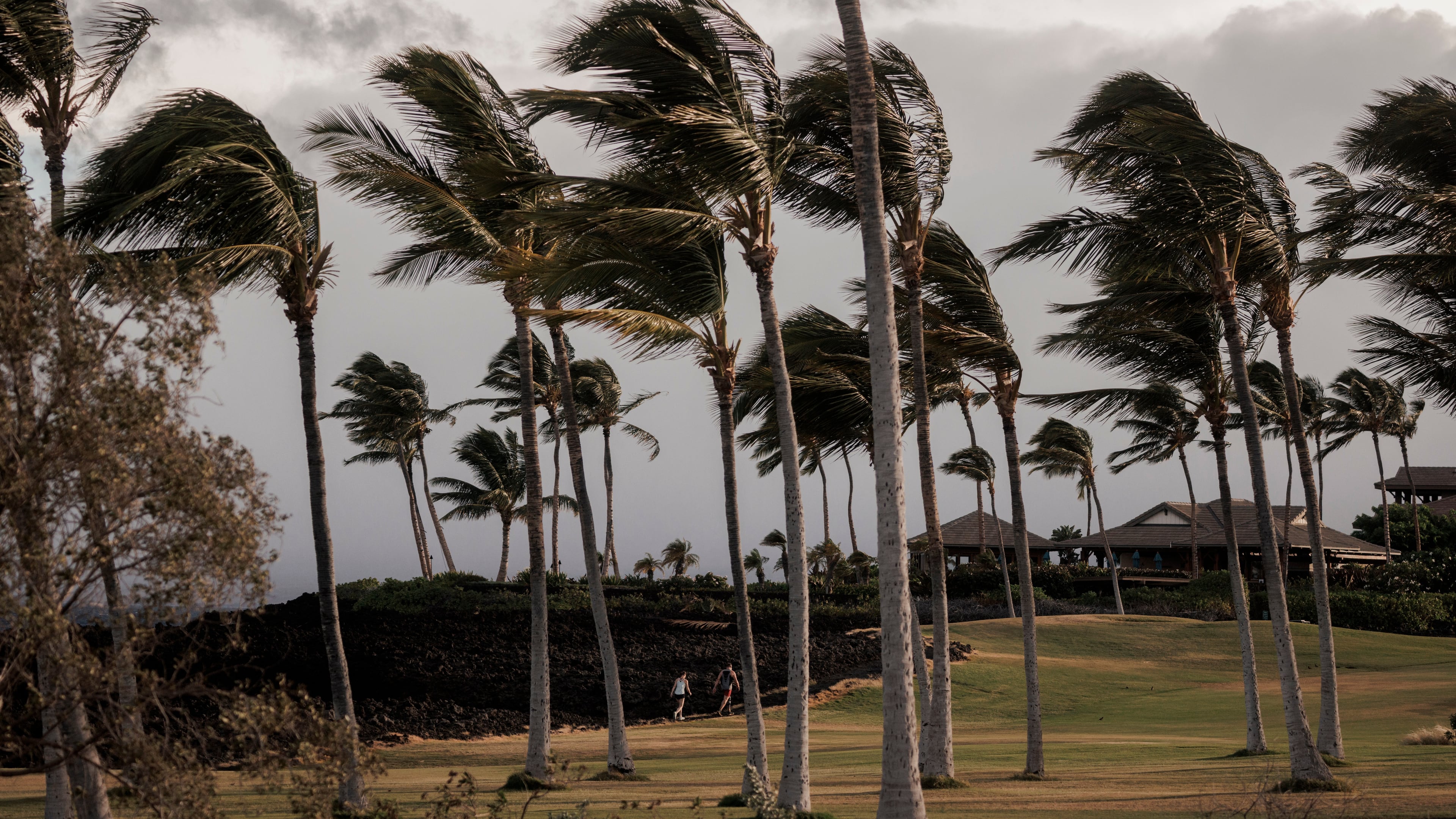 People walk along a path at Waikoloa Beach Resort as Tropical Storm Lala strengthened on the Big Island of Hawaii, Saturday, Aug. 15, 2026. (Stephen Lam/San Francisco Chronicle via AP)