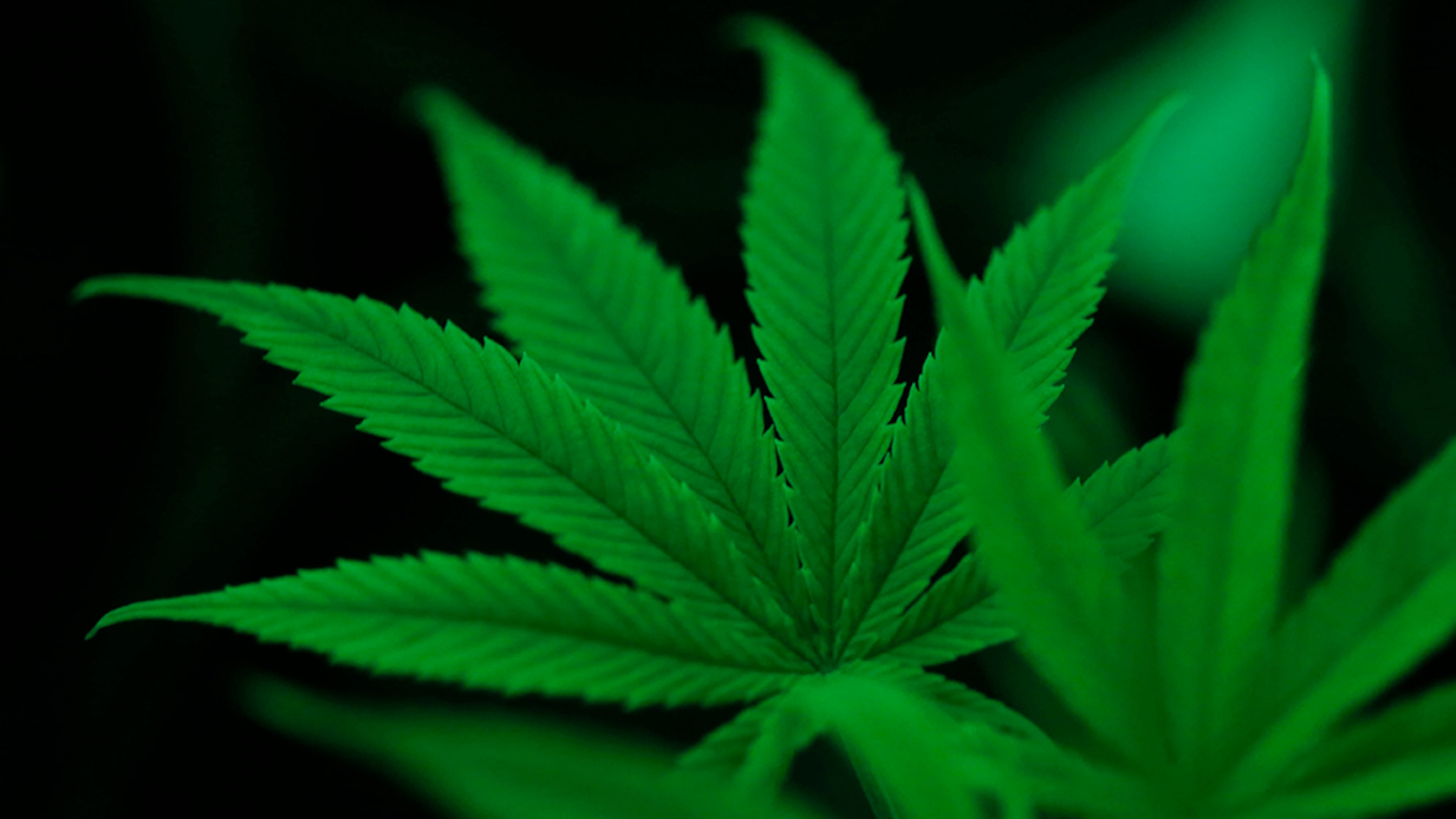 (Vernon Bryant/Dallas Morning News/TNS)