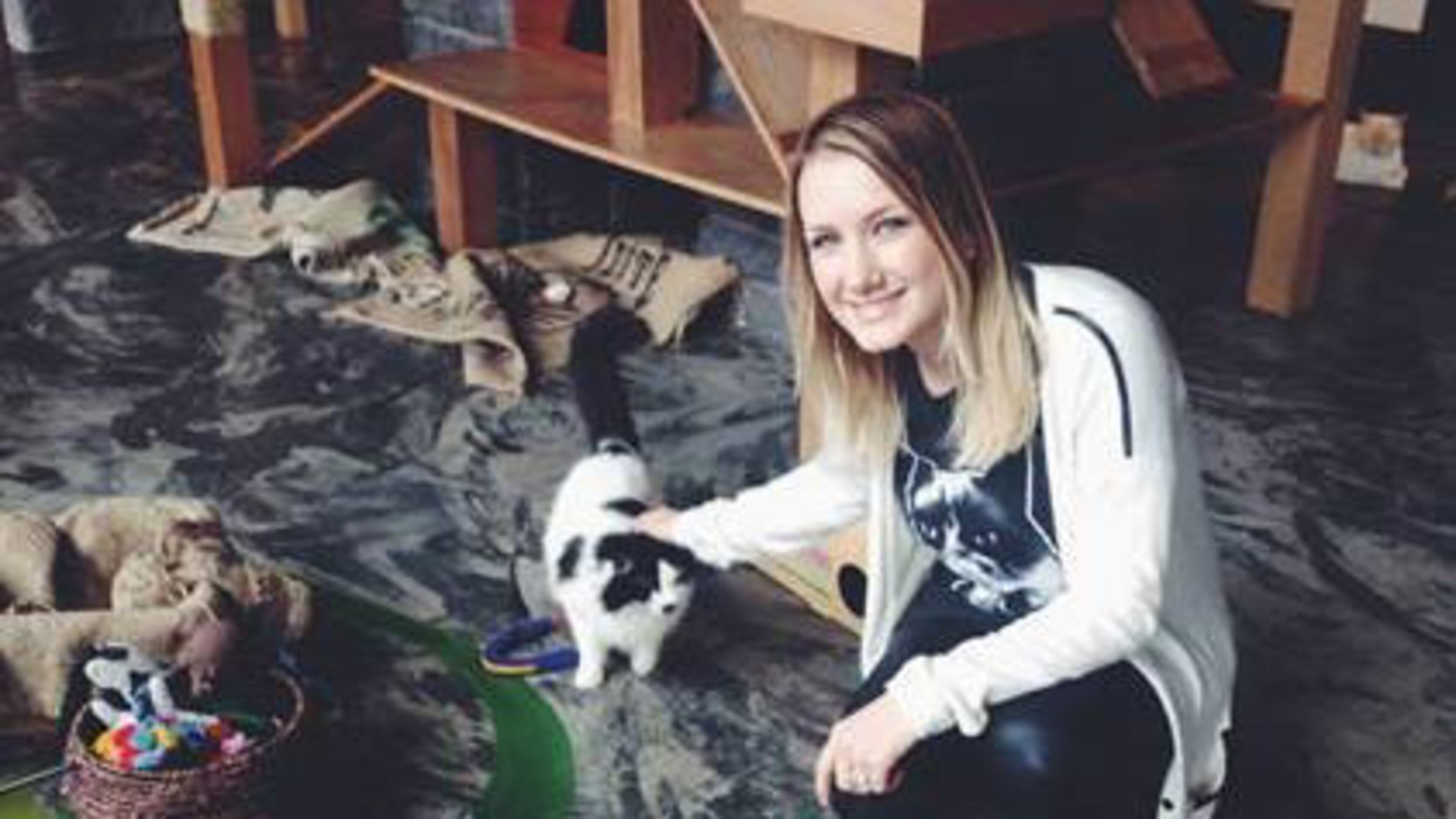 Hadyn Hilton, owner of Java Cats Cafe, visited Seattle Meowtropolitan before embarking on opening her own cat cafe. / Contributed photo