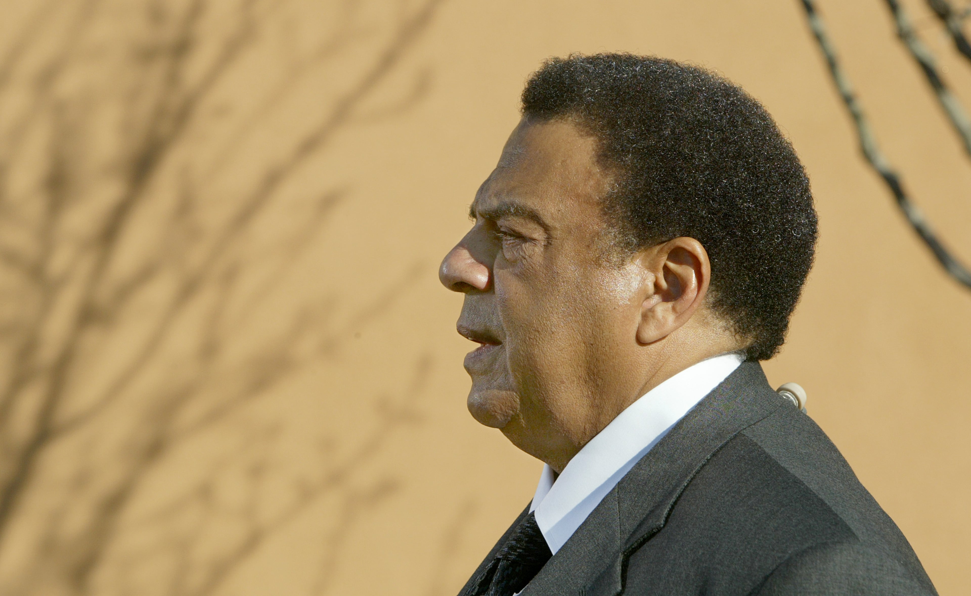 Some of the dignitaries that attended the Feb. 7, 2006 funeral ceremony at New Birth Missionary Church included former Atlanta Mayor Andrew Young ....