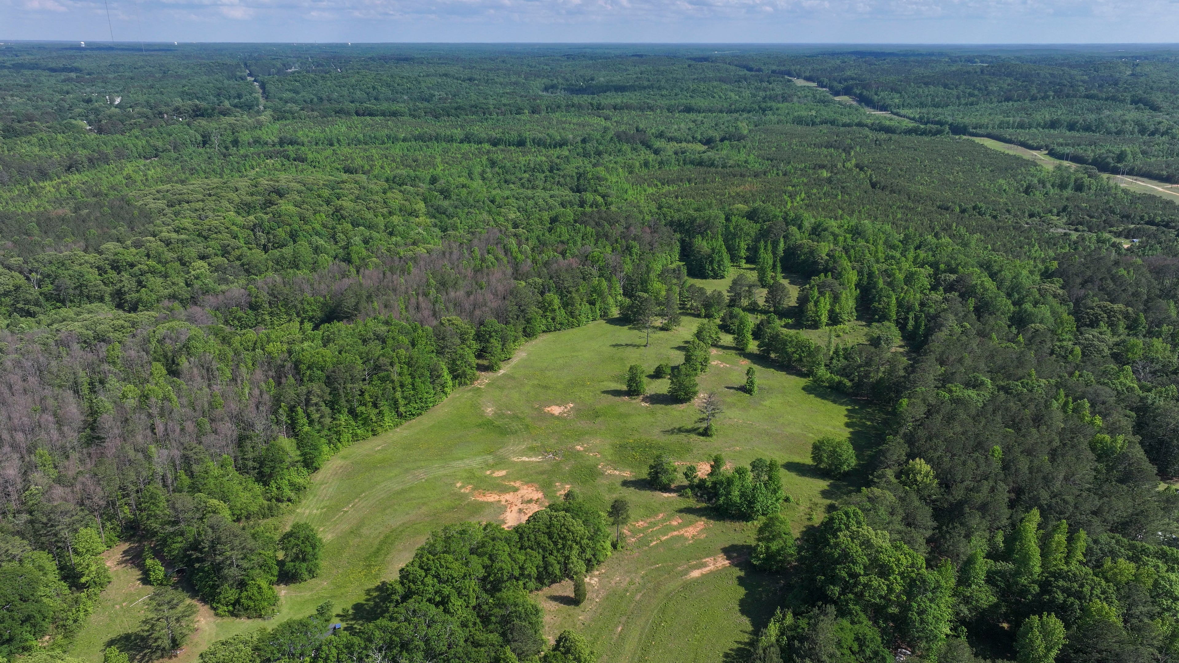 An aerial image illustrates a large wooded area near Newnan, GA, where a proposal has been made for a massive data center covering 4.9 million square feet. (Miguel Martinez/ AJC)