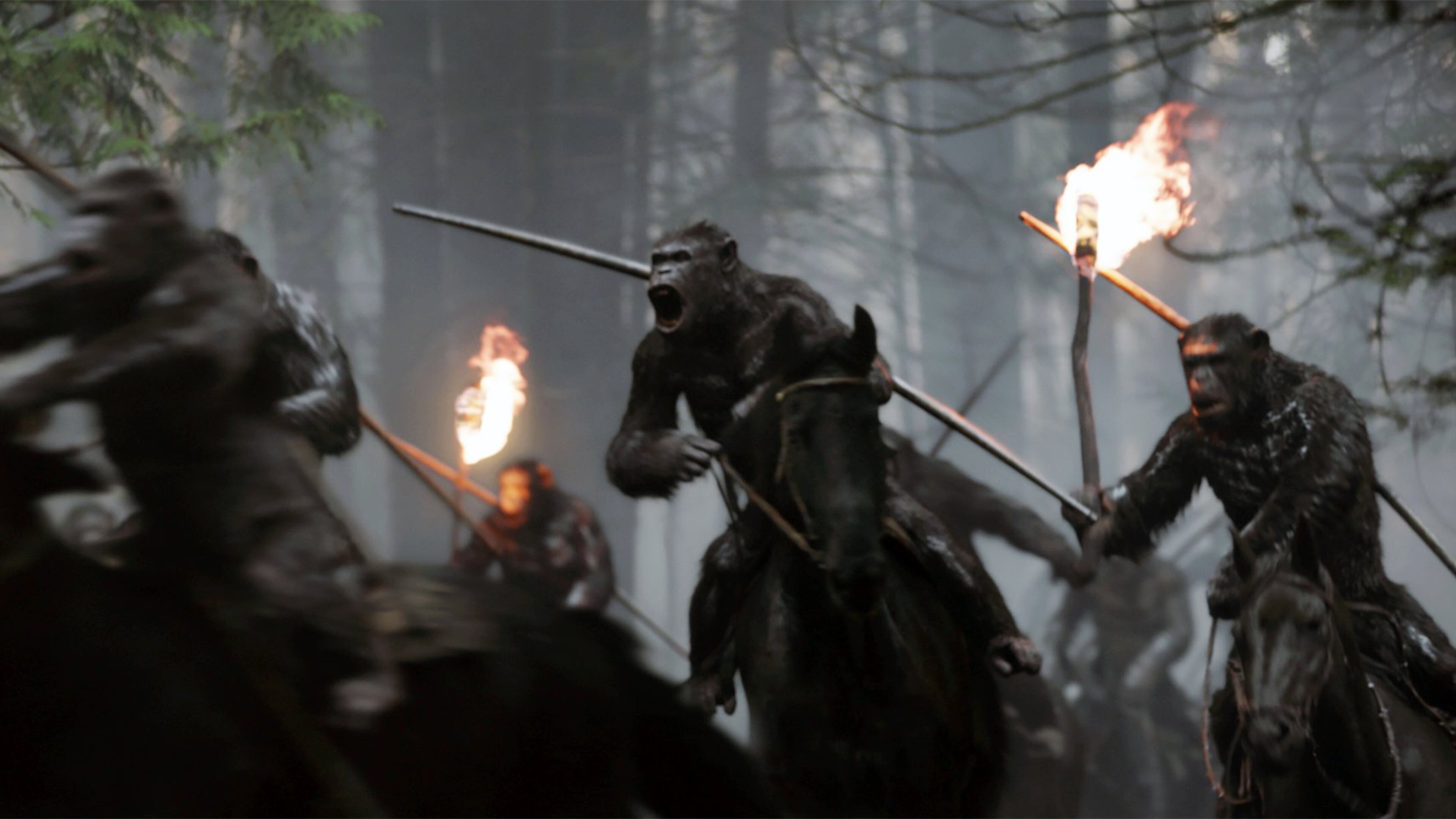 There isn’t a lot of need for the apes to talk in “War for the Planet of the Apes.” Contributed by Twentieth Century Fox via AP