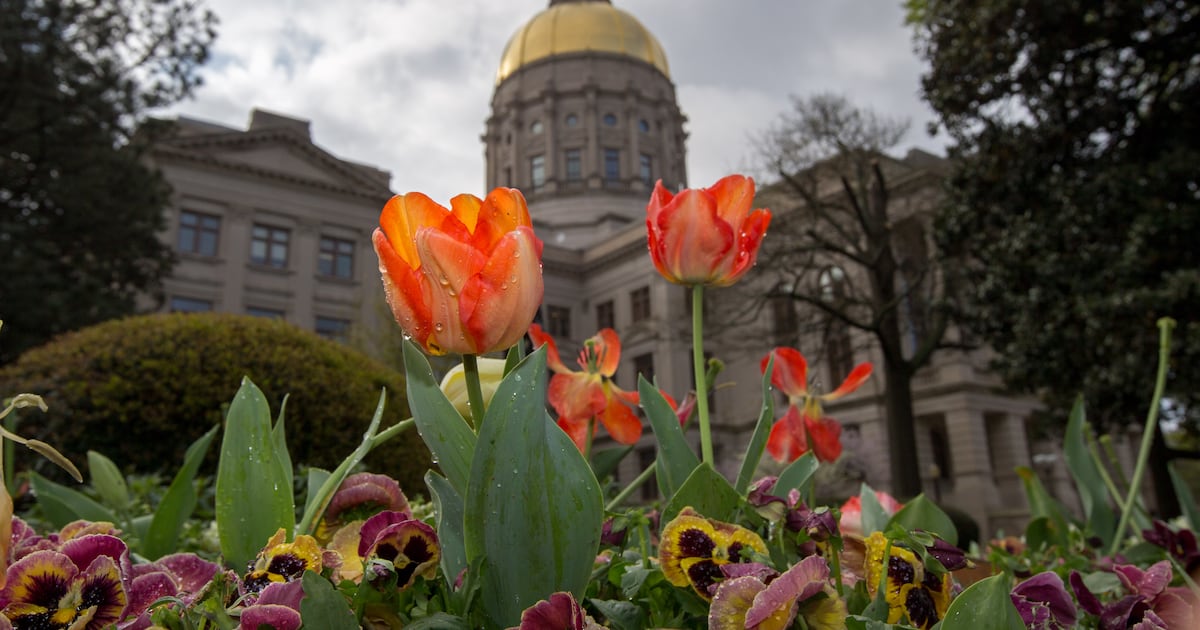 Georgia consumers are spending more and state revenue is rebounding