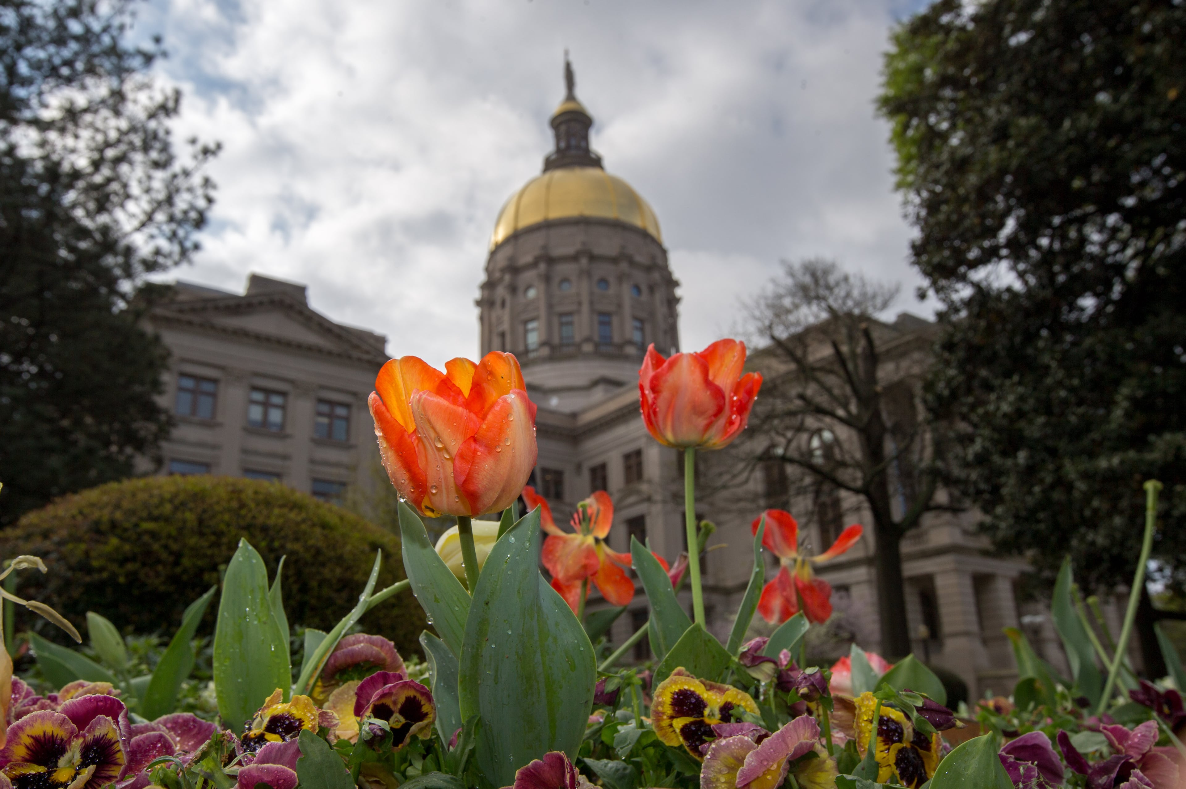 Georgia's overall tax collections were up in July by 2.7% over July 2023, a second monthly improvement in a row after revenue tanked for most of fiscal 2024. BRANDEN CAMP/SPECIAL