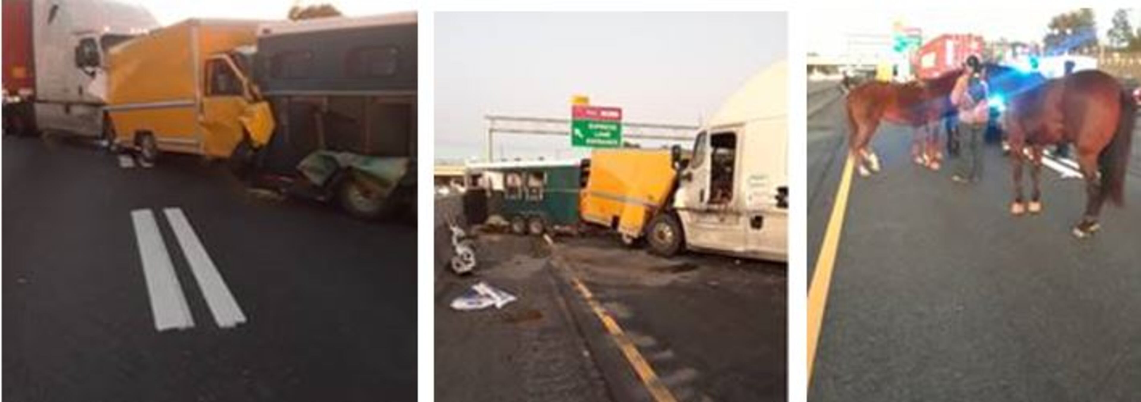 Three horses were rescued from a trailer Tuesday evening after a multivehicle wreck on I-85 brought northbound traffic to a standstill.