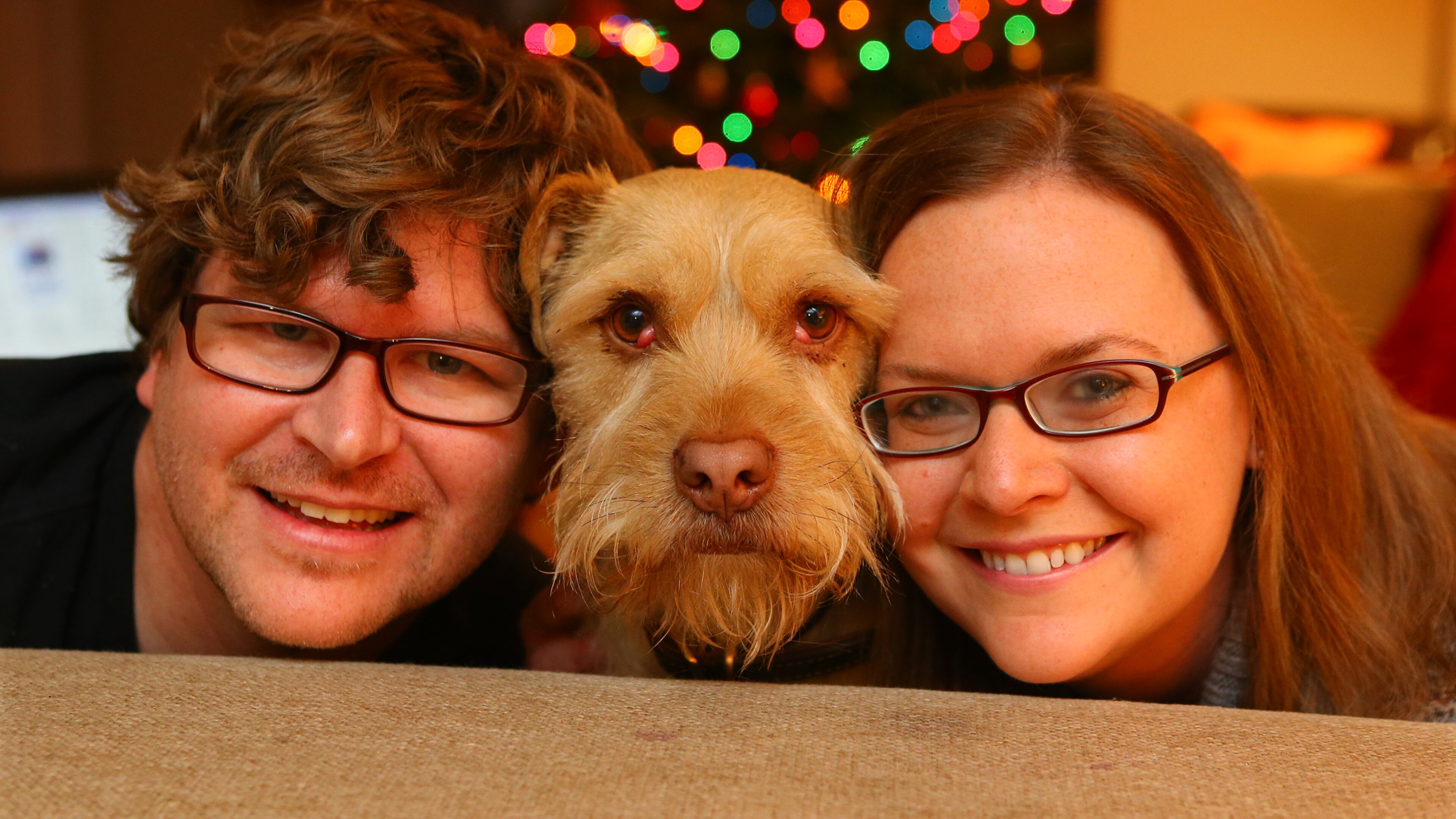 Health care reporter Misty Williams, her injured boyfriend Jason Massad, and their dog Wally pose for a portrait at home in Dunwoody. CURTIS COMPTON / CCOMPTON@AJC.COM