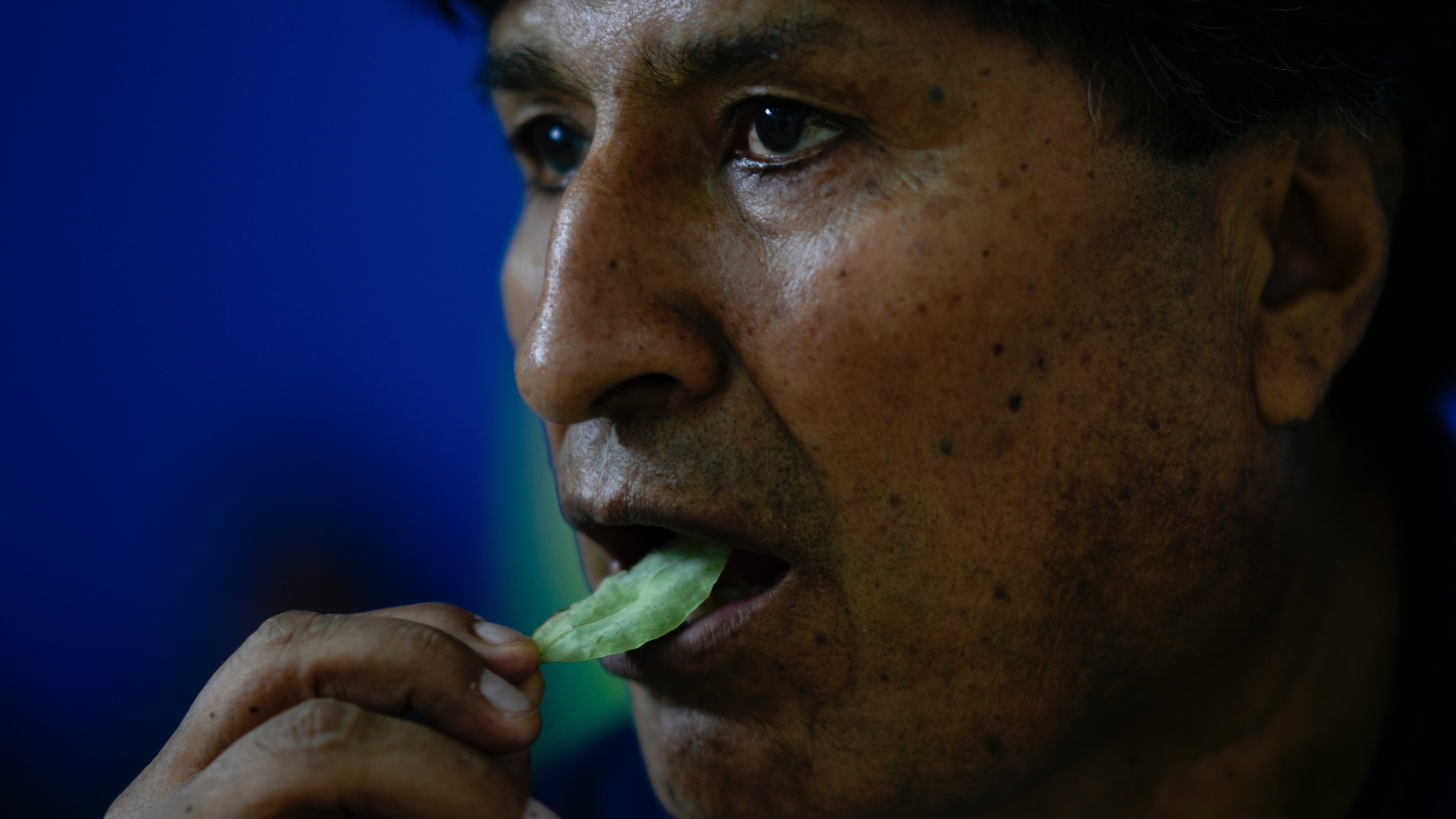FILE - Bolivia's former President Evo Morales chews coca in Lauca N, Chapare region, Bolivia, Nov. 3, 2024, amid an ongoing political conflict with the government of President Luis Arce. (AP Photo/Juan Karita, File)