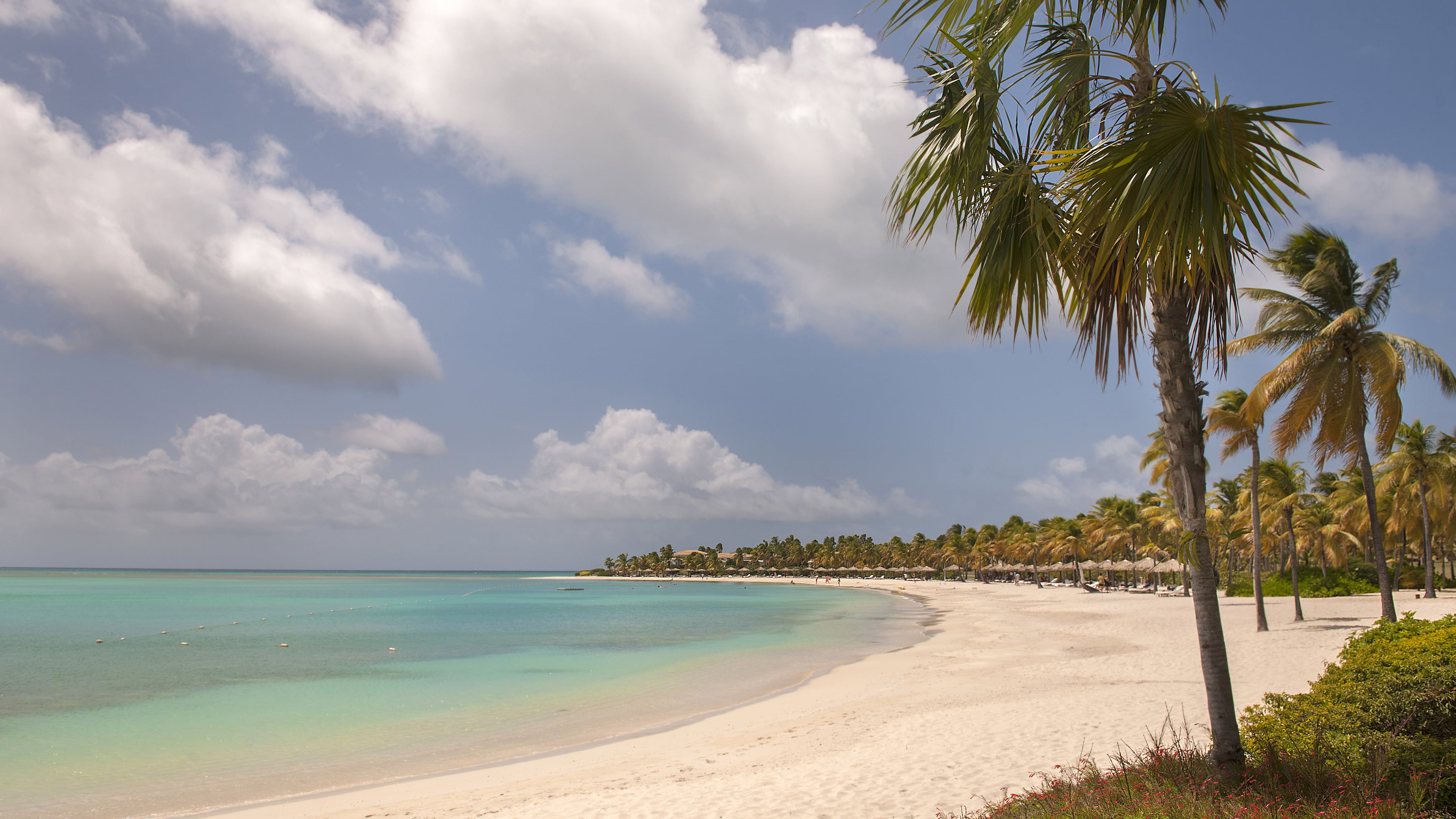 A beach on Jumby Bay, a private island resort in Antigua and Barbuda, July 3, 2016. American workers take less time off than their peers in the rest of the industrialized world â using an average of 12 vacation days even when they are allocated an average of 15. (Robert Rausch/The New York Times)