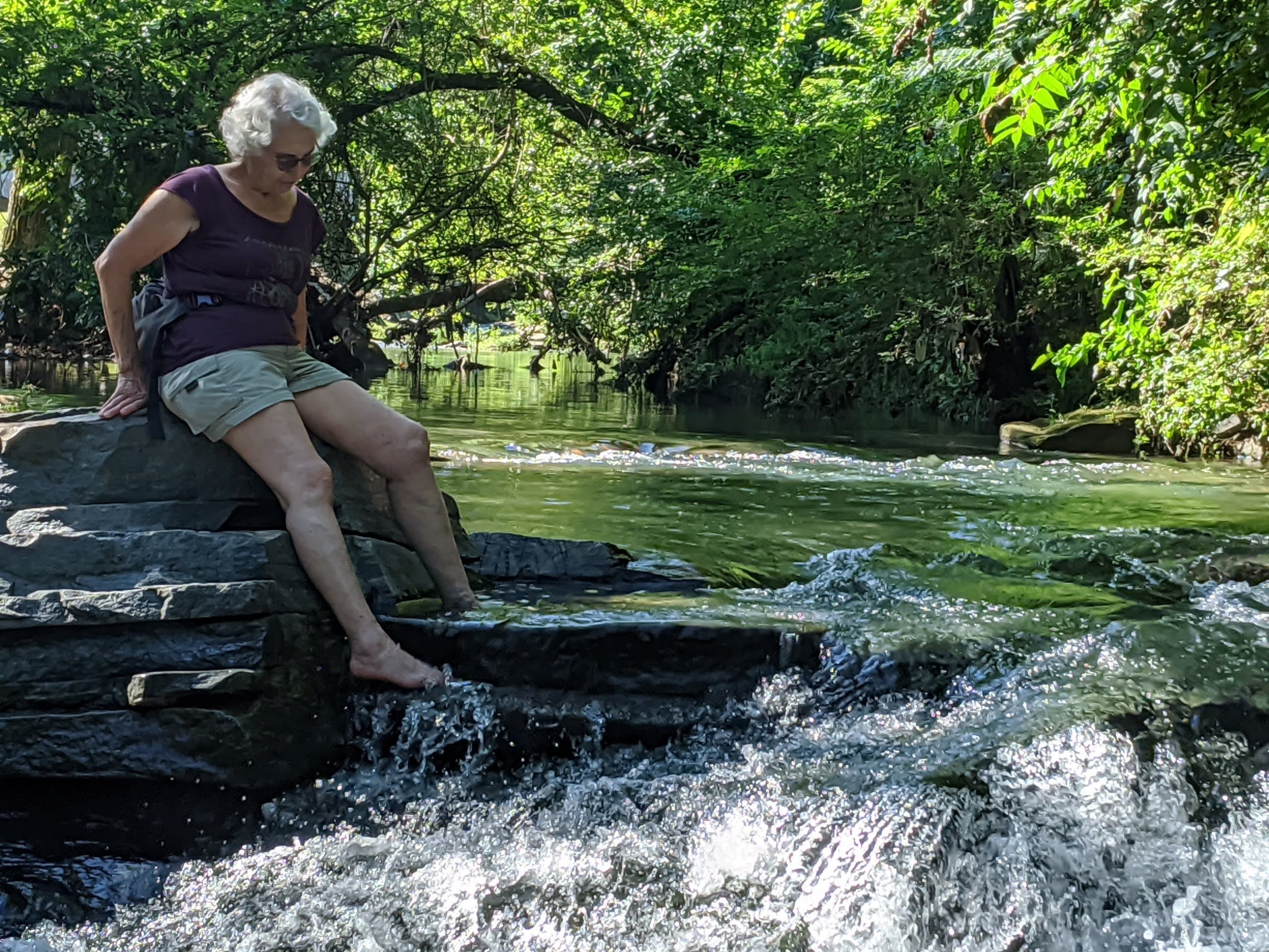 Once a highly polluted waterway, Proctor Creek is beginning to bounce back. (Courtesy of Jonah McDonald)