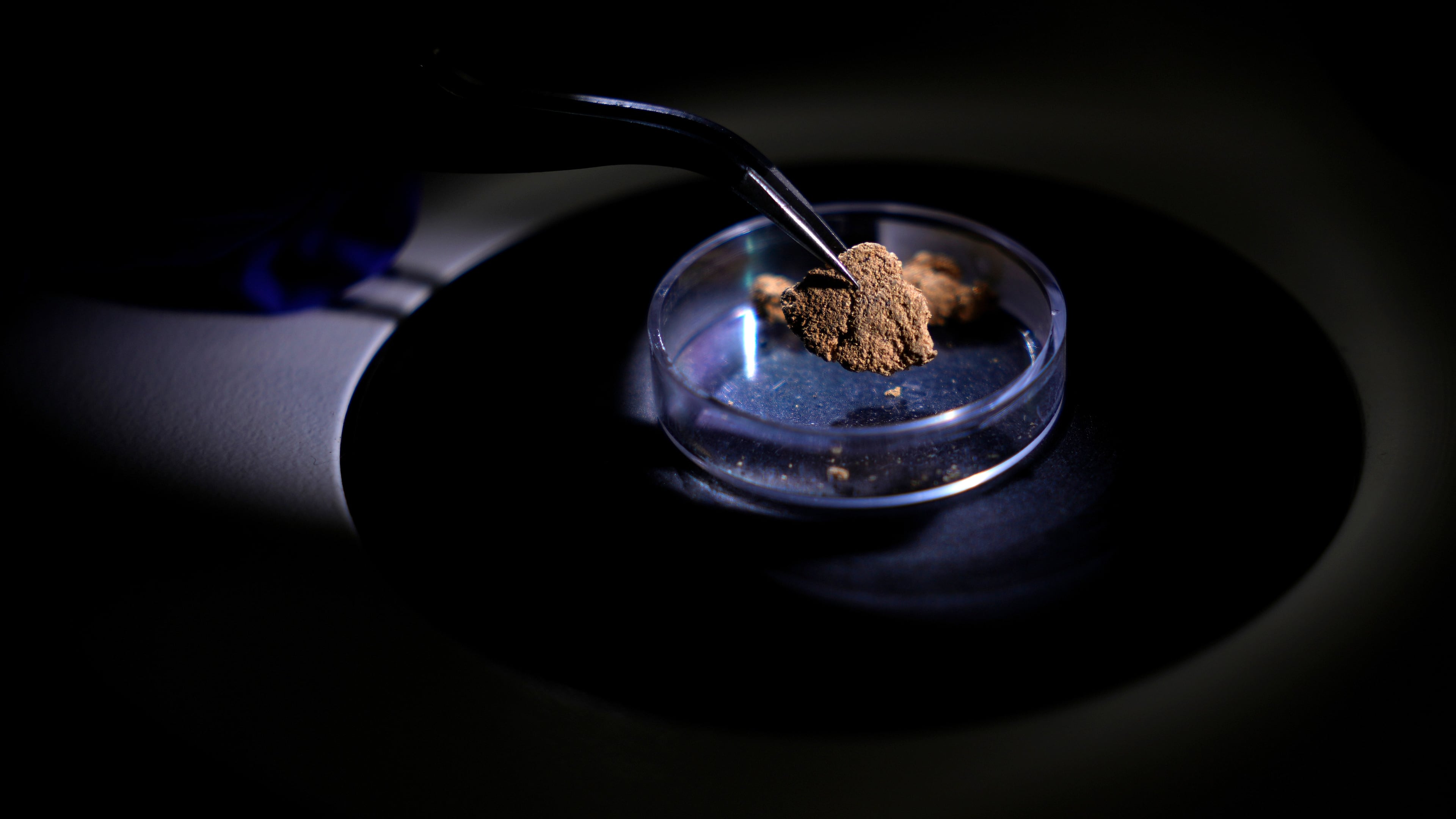 A forensic expert handles a gold-bearing sample during analysis at the National Institute of Criminalistics in Brasilia, Brazil, Monday, July 13, 2026. (AP Photo/Eraldo Peres)
