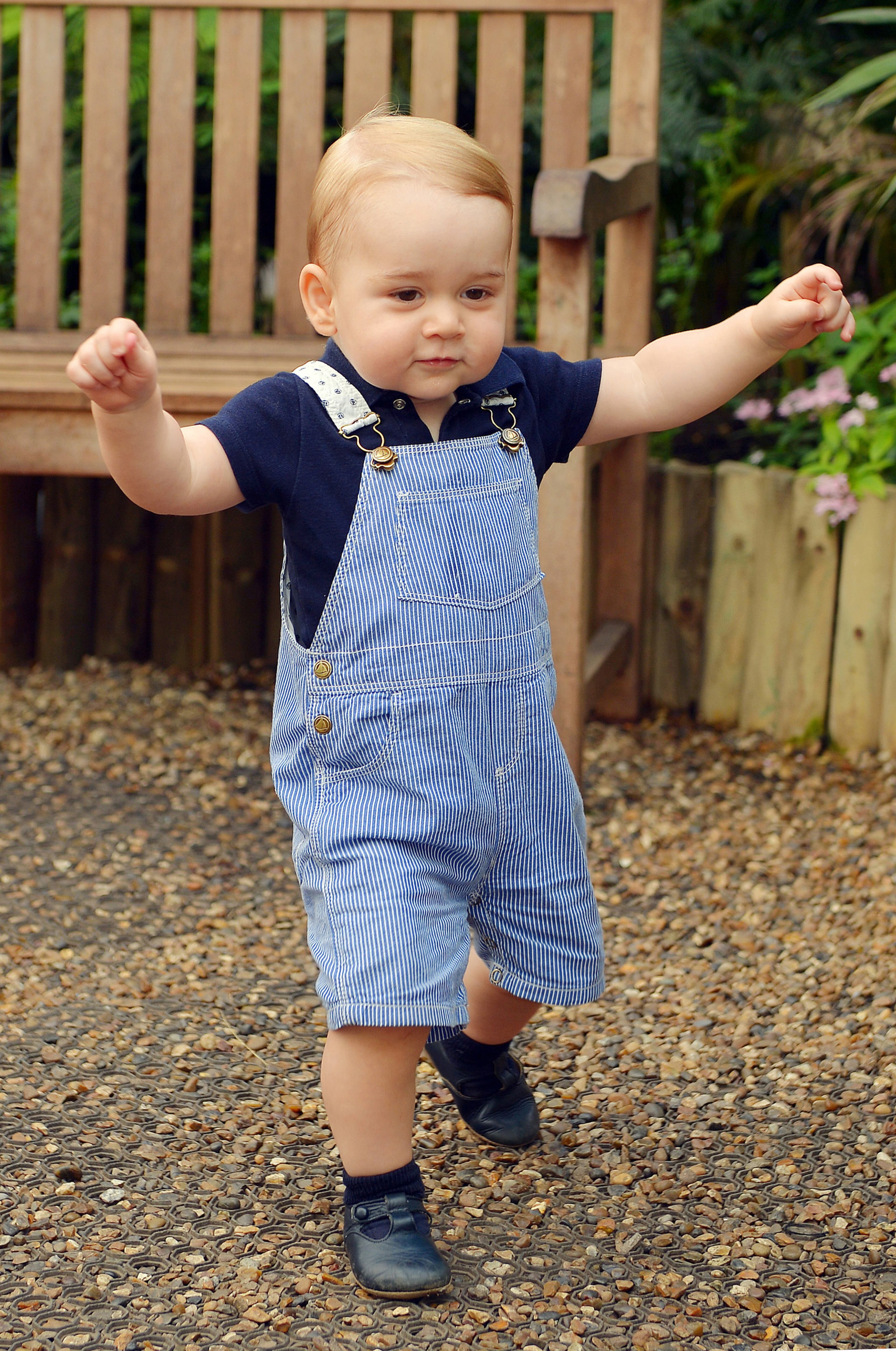 This photo was taken to mark the first birthday of Prince George and shows the Prince during a visit to the Sensational Butterflies exhibition at the Natural History Museum on July 2, 2014, in London, England.