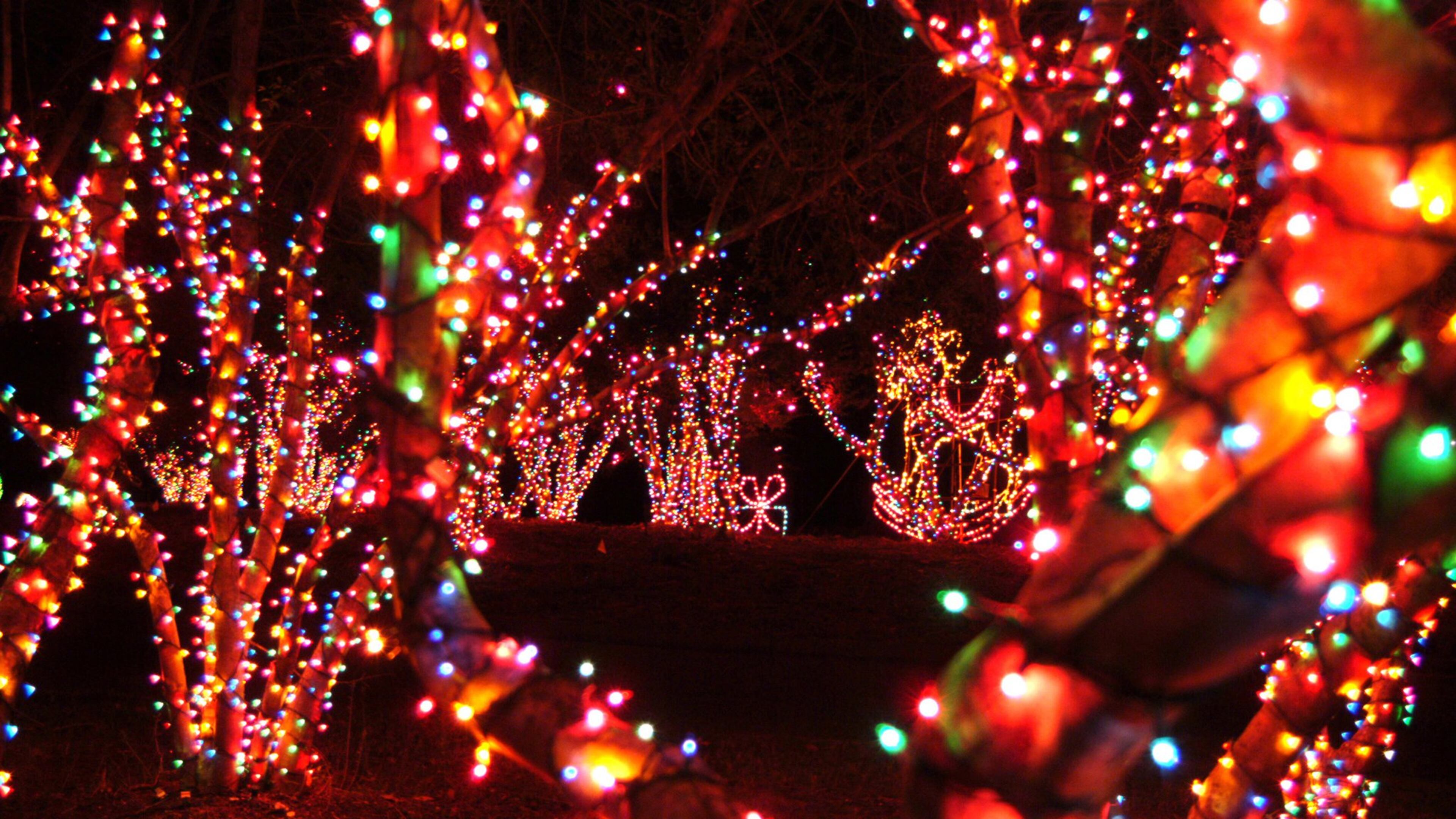 File photo of Magical Nights of Lights. Photo Source: Lake Lanier Islands.