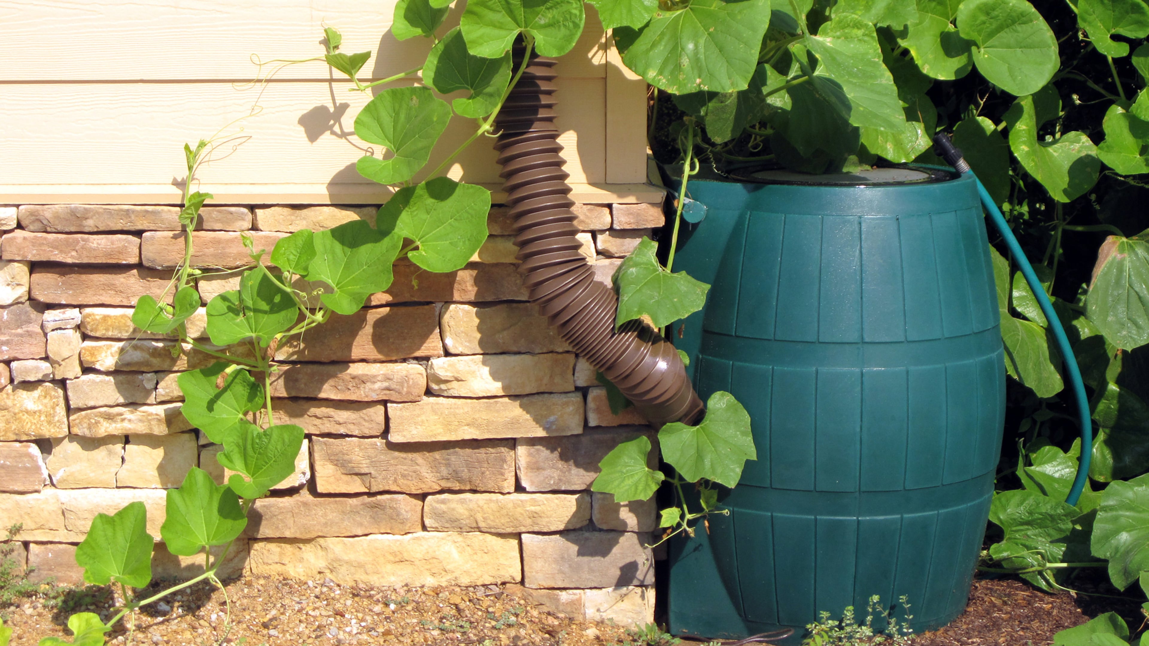 Consider installing a rain barrel to conserve water. (Dreamstime)