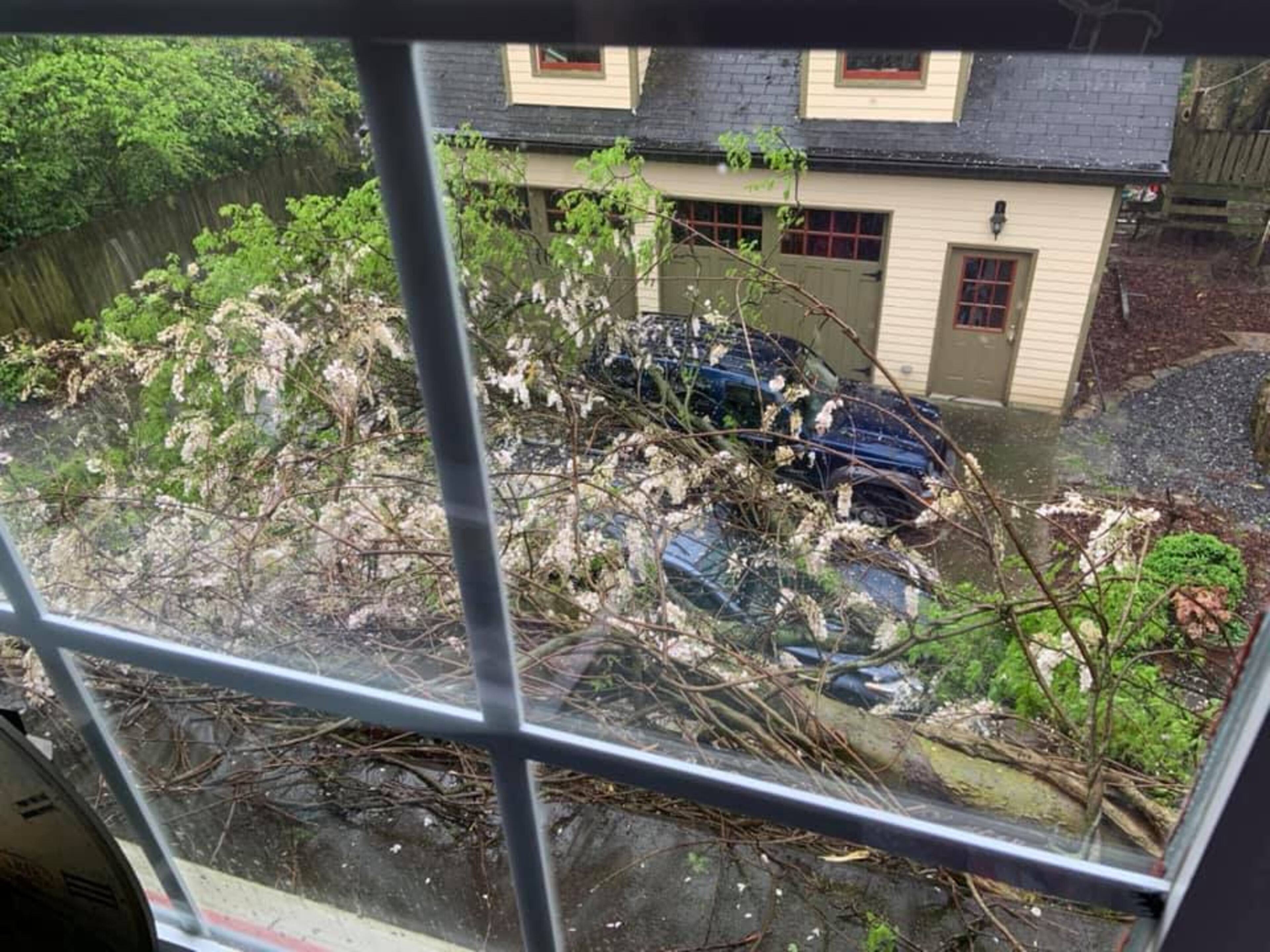 A tree fell in Marietta as rain moved across metro Atlanta on Tuesday.