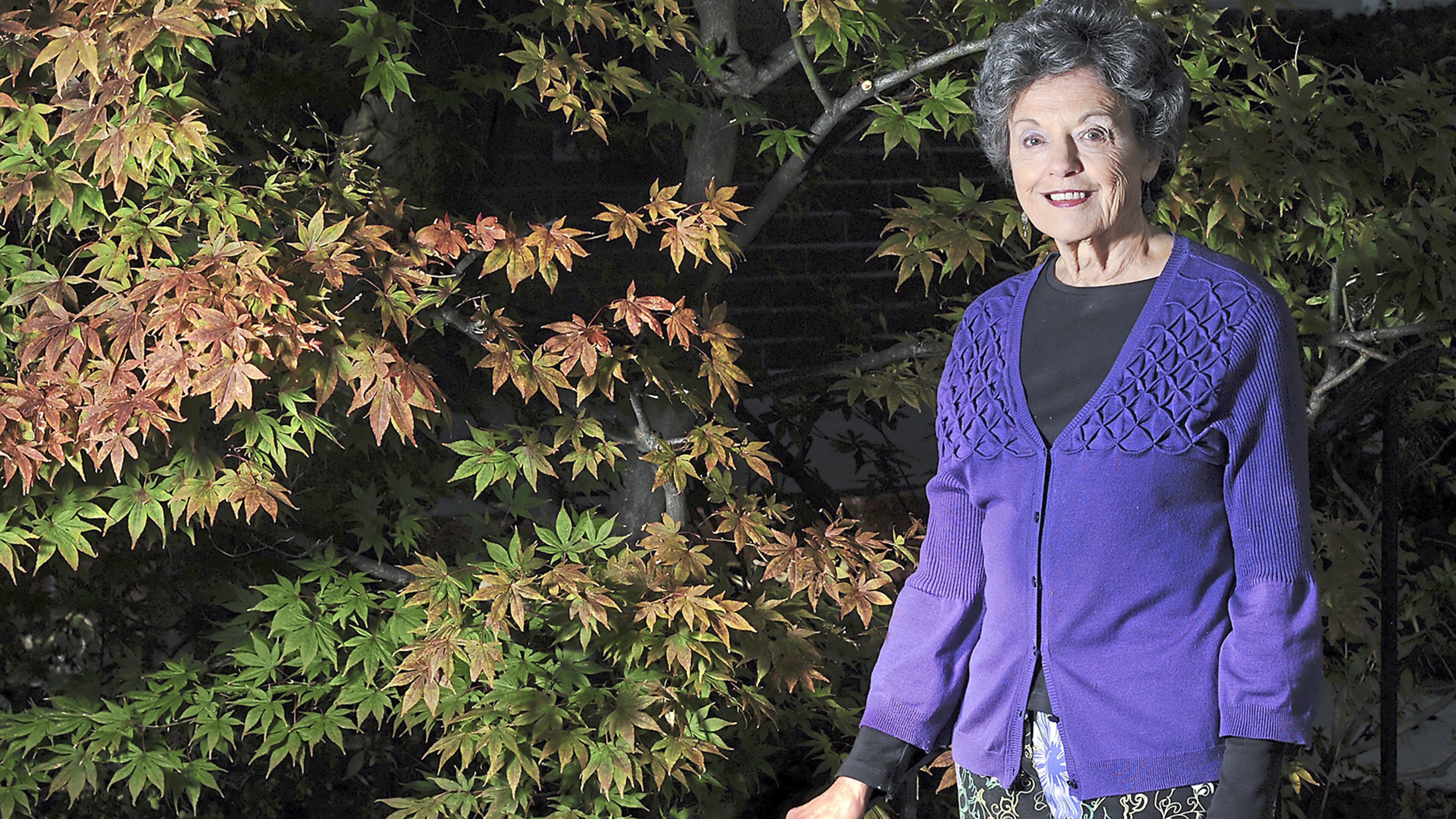 Ina Block poses for a portrait near a ‘Bloodgood’ Japanese maple Tuesday, Oct. 17, 2017, at her home in Mt. Lebanon. Mrs. Block has been gardening for more than 50 years and is the small garden winner of the PG’s Great Gardens Contest. (Nate Guidry/Pittsburgh Post-Gazette/TNS)