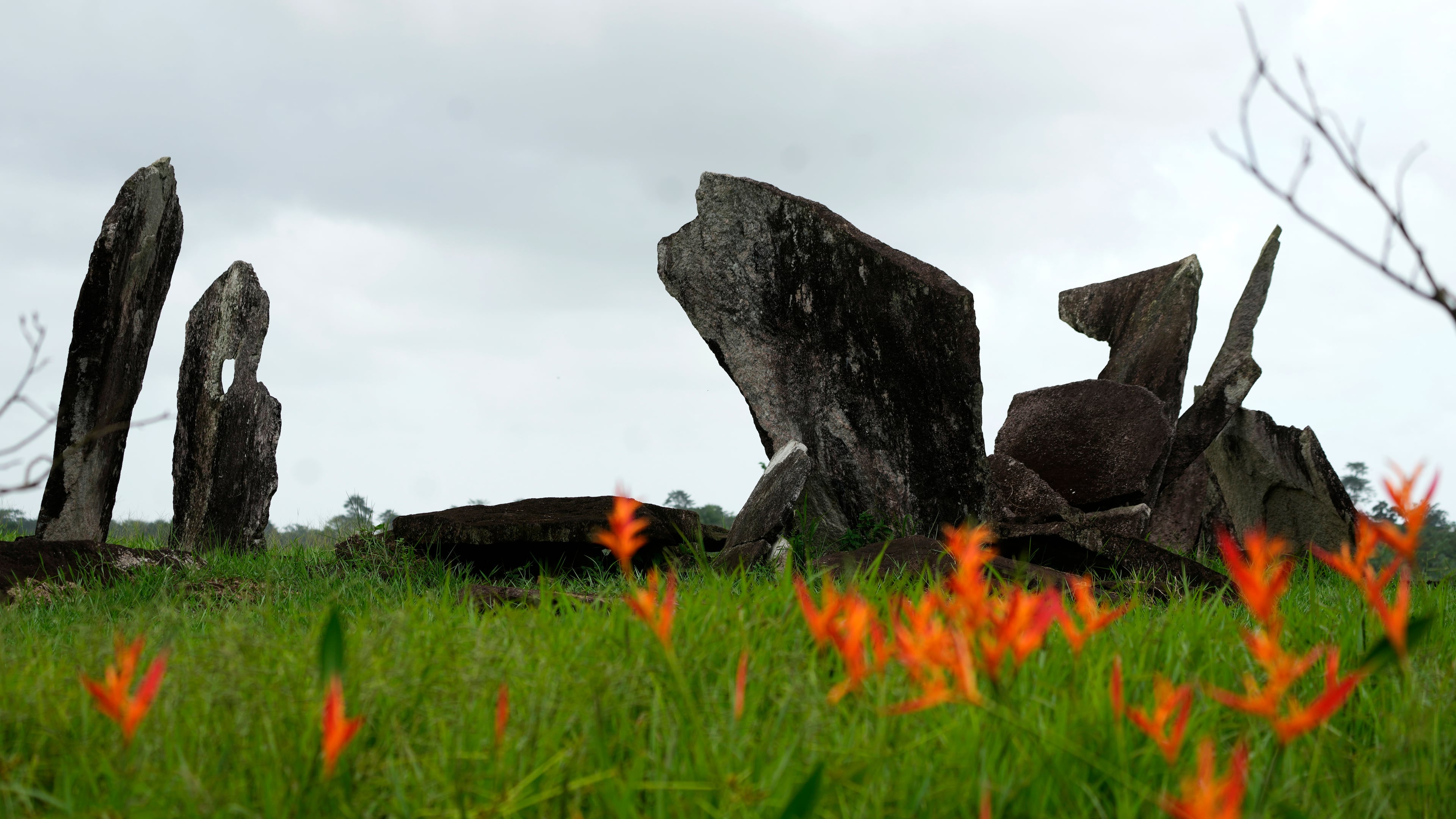 Grass and flowers surround the Archaeological Park of the Solstice, which some call the "Stonehenge of the Amazon" in Calcoene, Amapa state, Brazil, Friday, March 13, 2026. (AP Photo/Eraldo Peres)