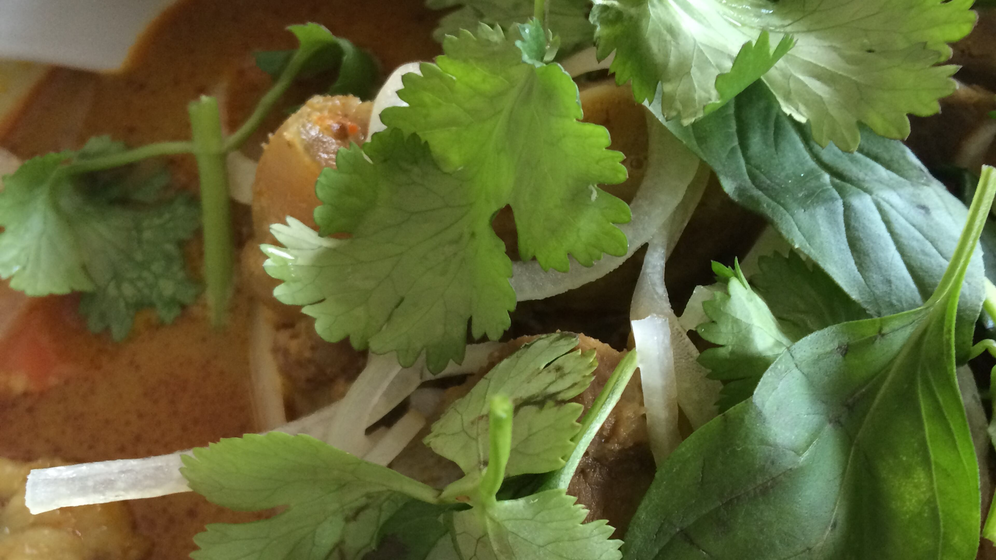 Vietnamese goat curry from Nam Phuong on Buford Highway.