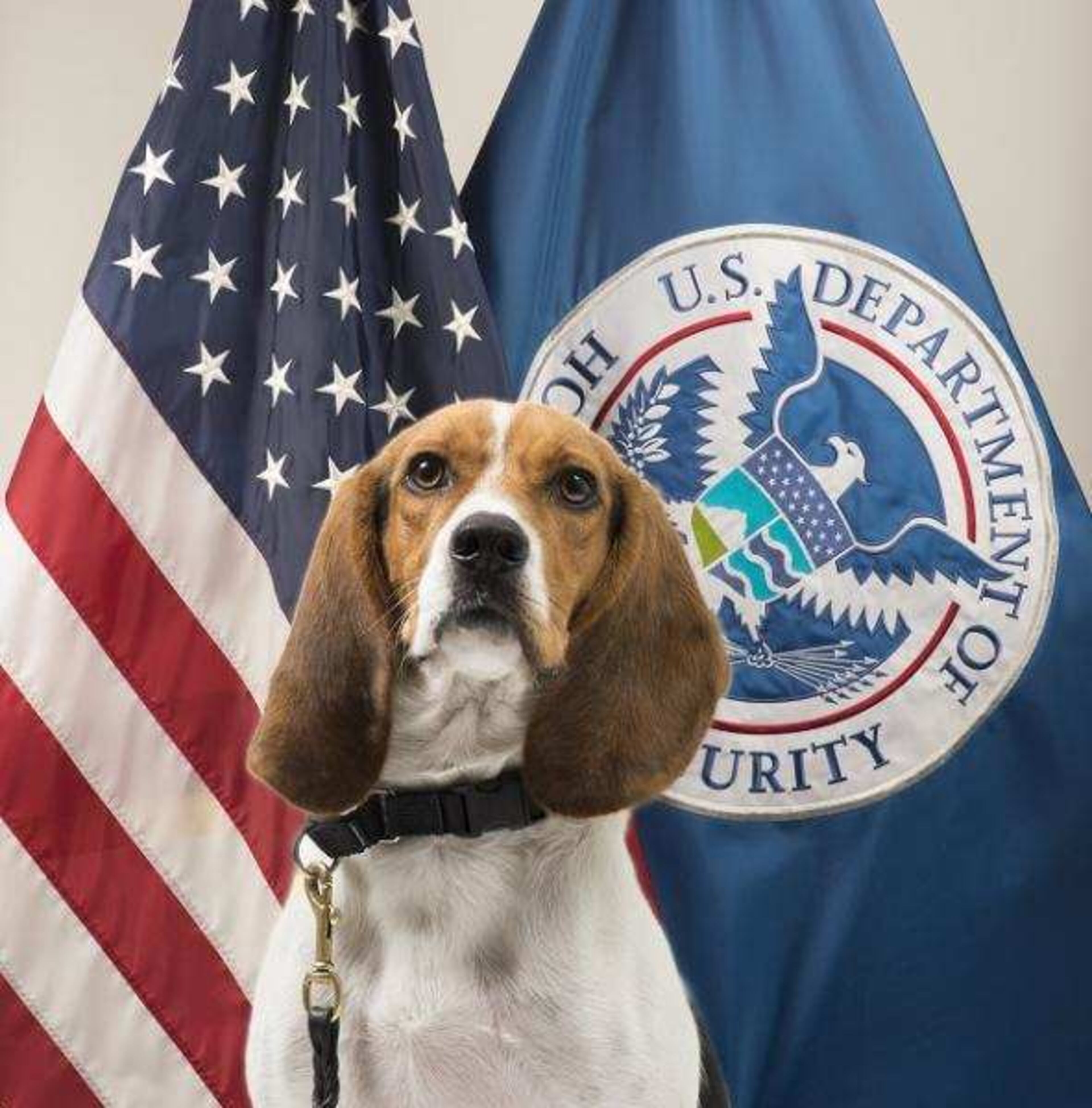 Source: U.S. Customs and Border Protection