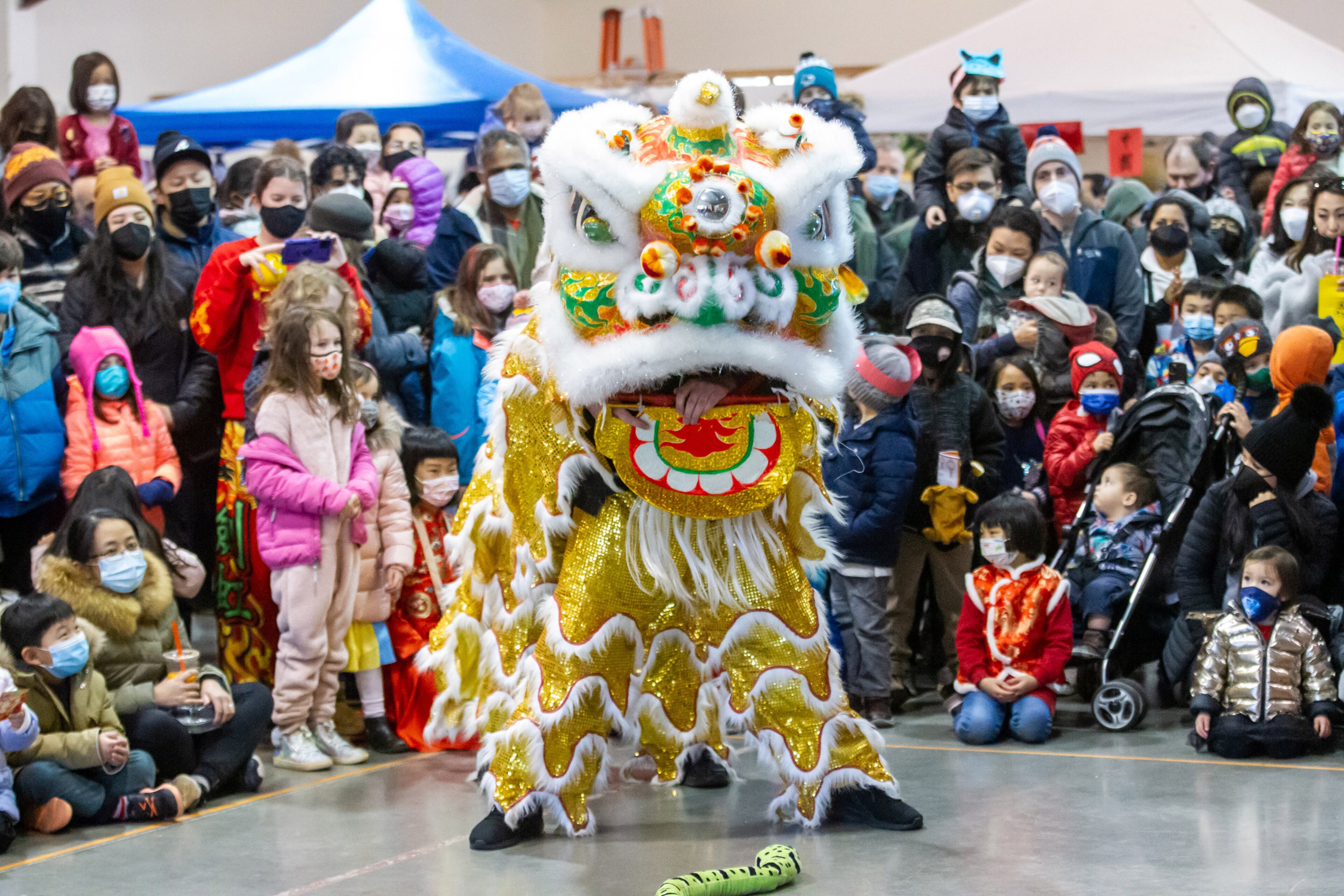 Entertainers perform the Lion Dance during Decatur's first Lunar New Year celebration at Legacy Park on Saturday, January 29, 2022. STEVE SCHAEFER FOR THE ATLANTA JOURNAL-CONSTITUTION