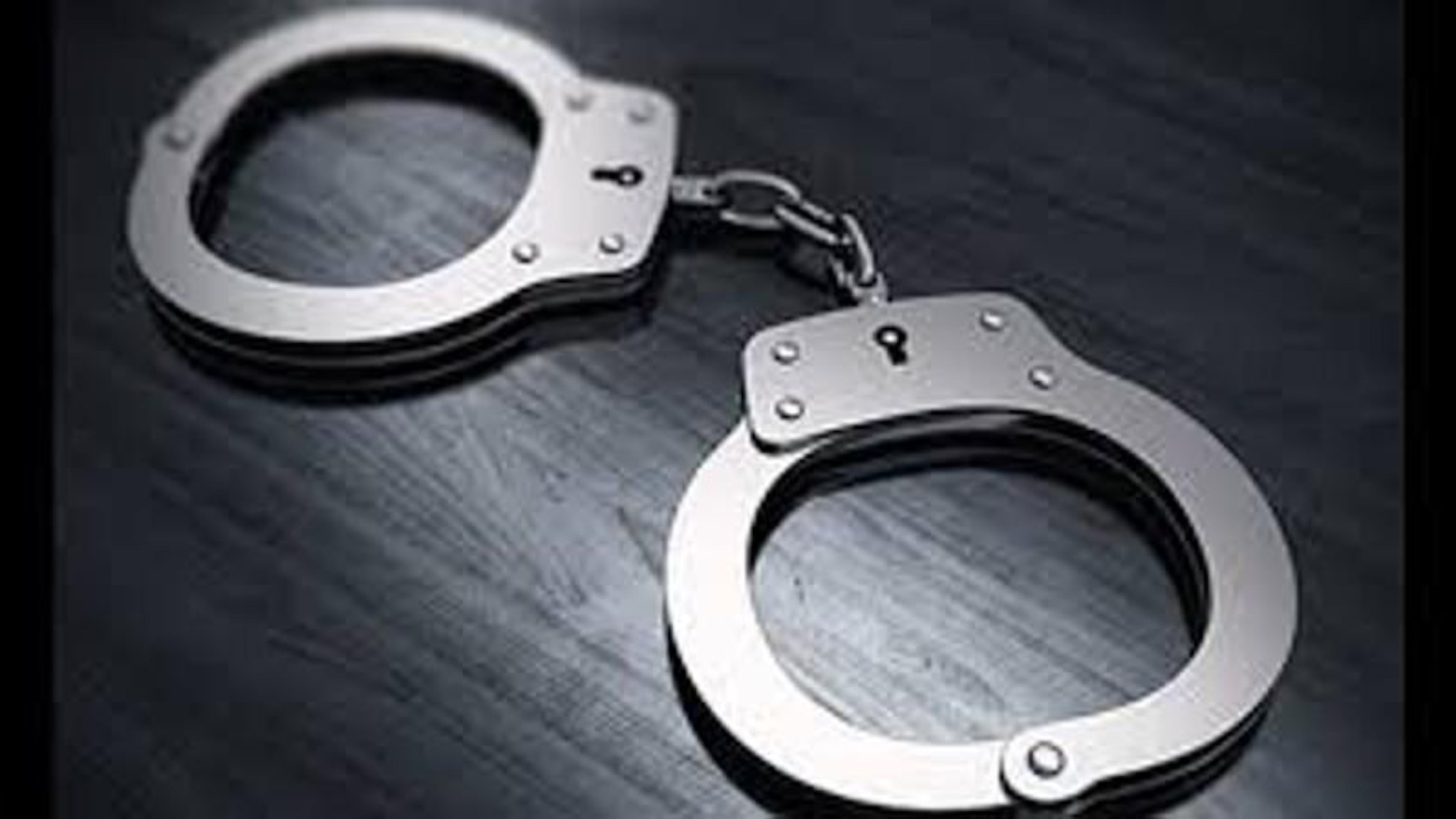 The man allegedly attacked his mother before turning his aggression toward the officer.