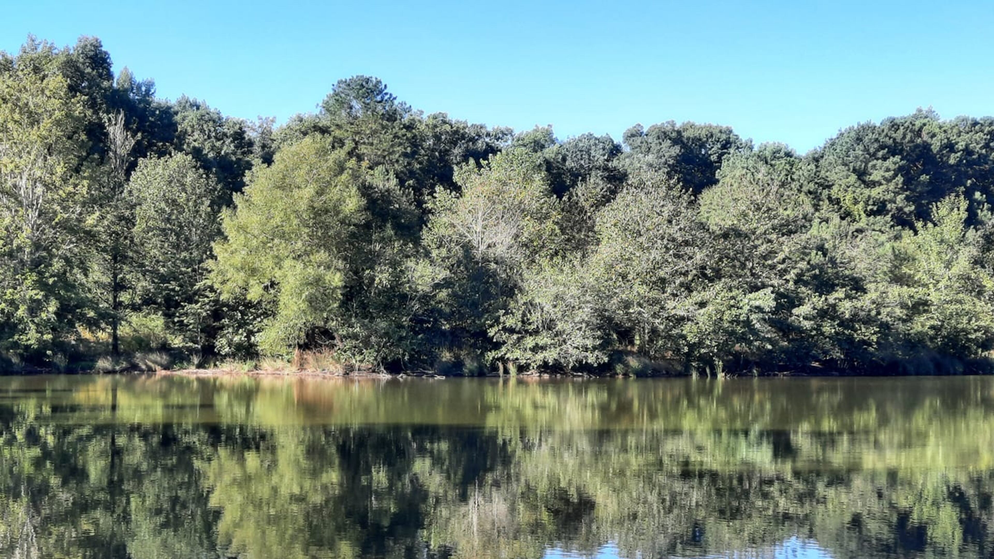 Archery, fishing programs coming to Nash Farm Lake in Henry County. (PHOTO: HENRY COUNTY COMMISSION)
