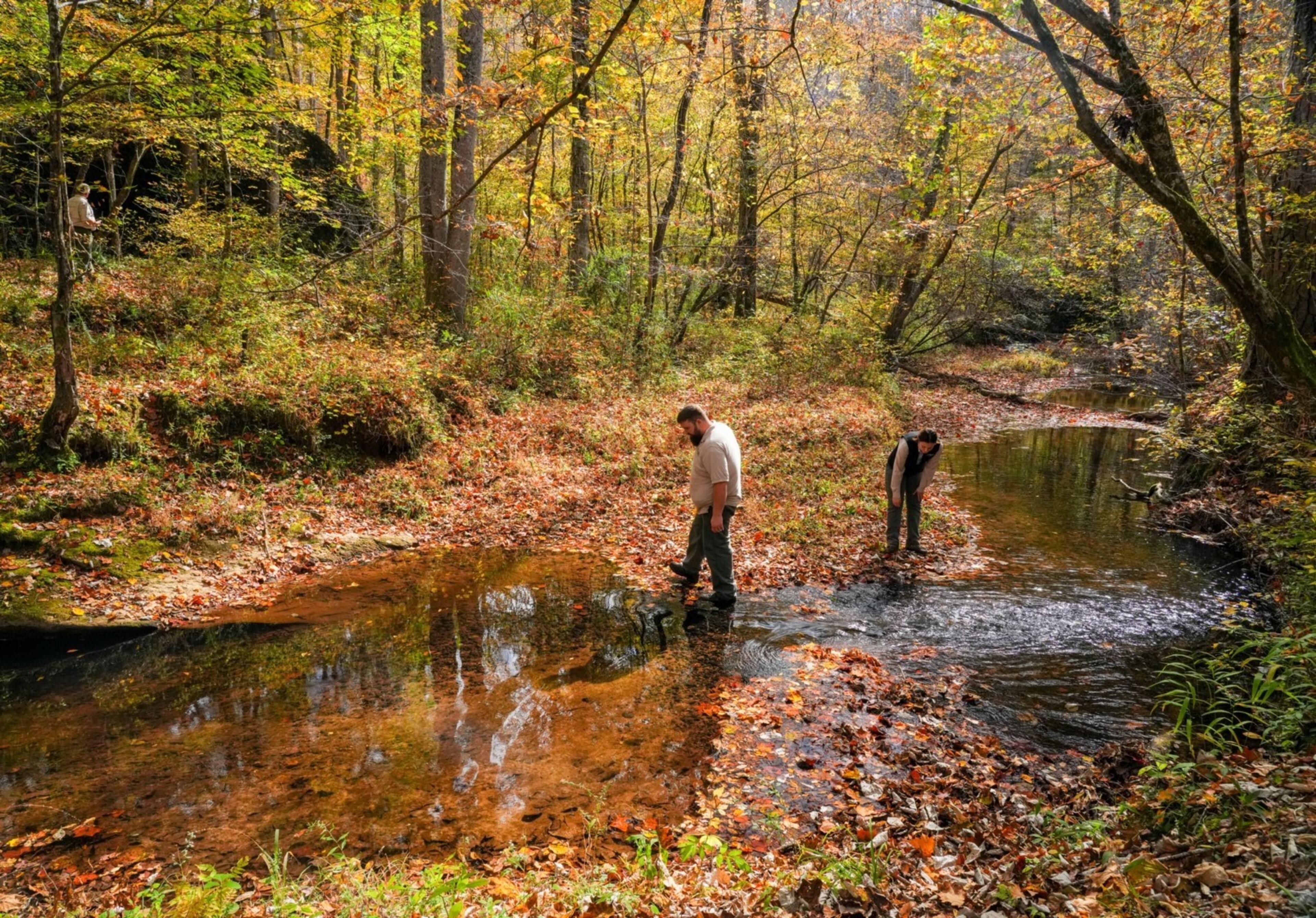 A group surveys a creek in the Dugdown Mountain Corridor, an ecologically rich region in Georgia and Alabama.