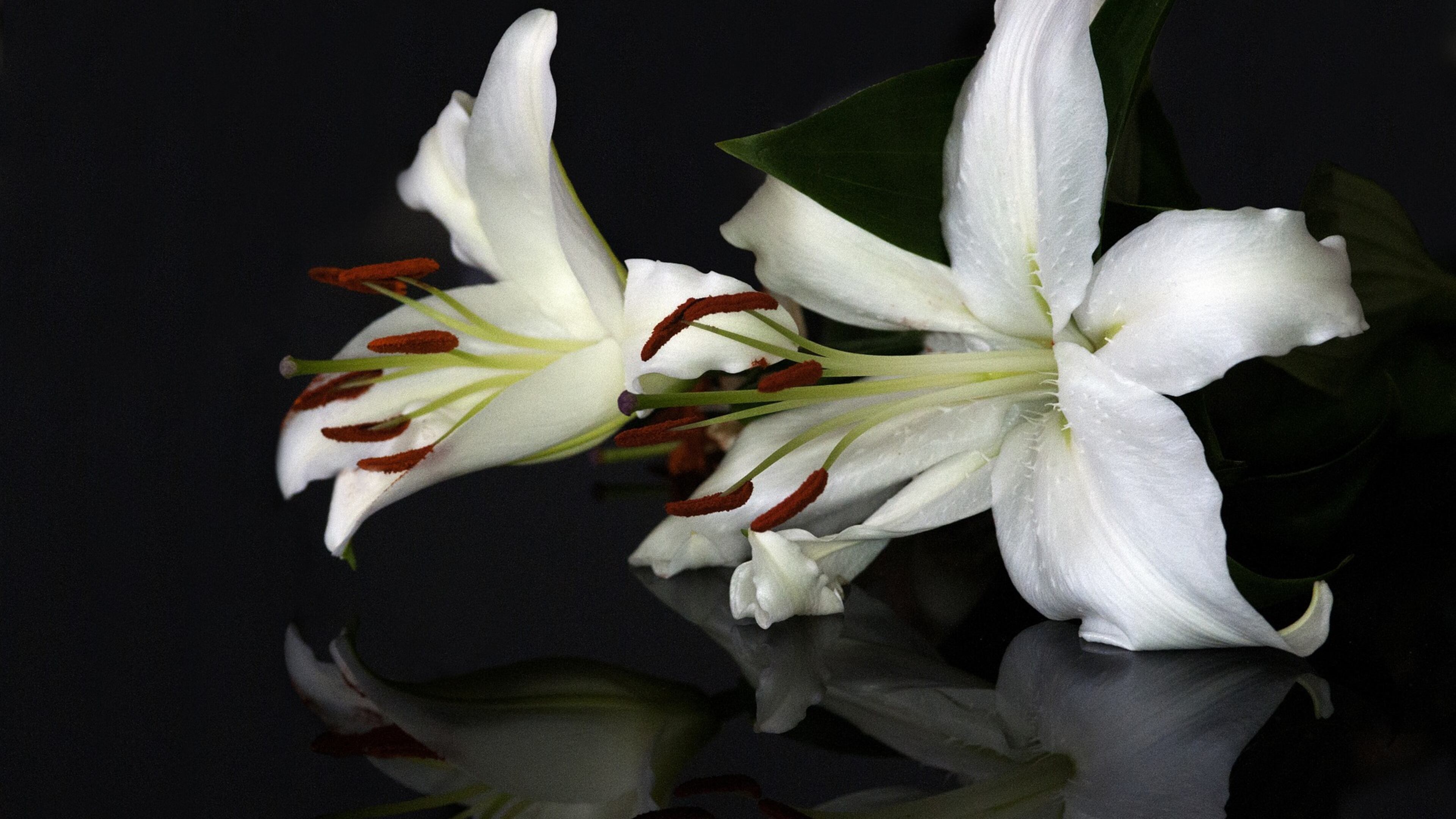 A Furman University sophomore died early Saturday at an off-campus event.