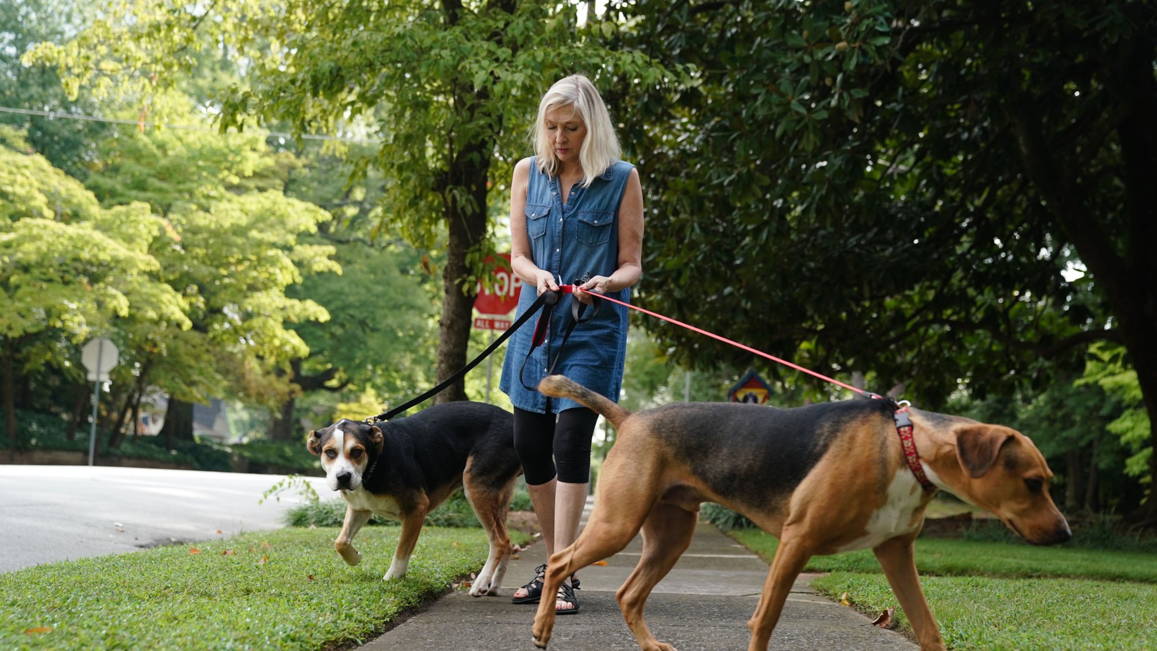 Jean Allred walks her dogs Jack and Molly recently in Marietta. Allred has a plan and money set aside for the care of her two dogs and two cats in her will. ELIJAH NOUVELAGE / FOR THE ATLANTA JOURNAL CONSTITUTION