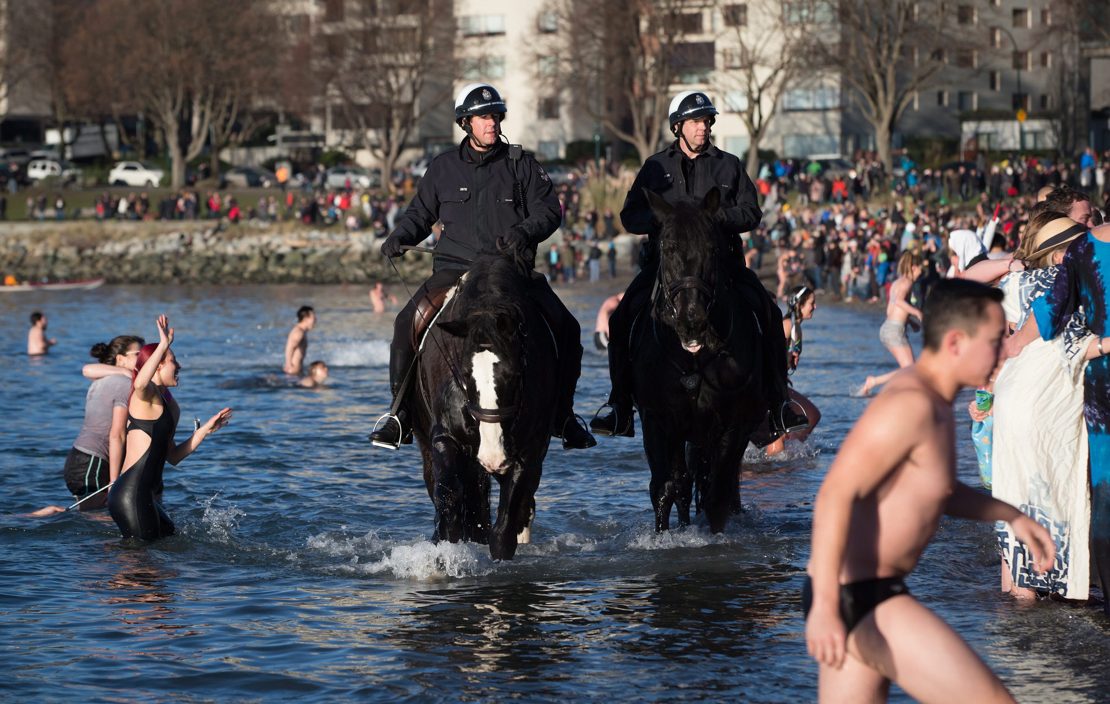 Mounted Vancouver Police officers ride horses in the waters of the English Bay as revelers participate in the 96th annual Polar Bear Swim in Vancouver, British Columbia on Friday Jan. 1, 2016. The event, hosted by the Vancouver Polar Bear Swim Club, held it's first swim on New Year's Day in 1920. (Darryl Dyck /The Canadian Press via AP)