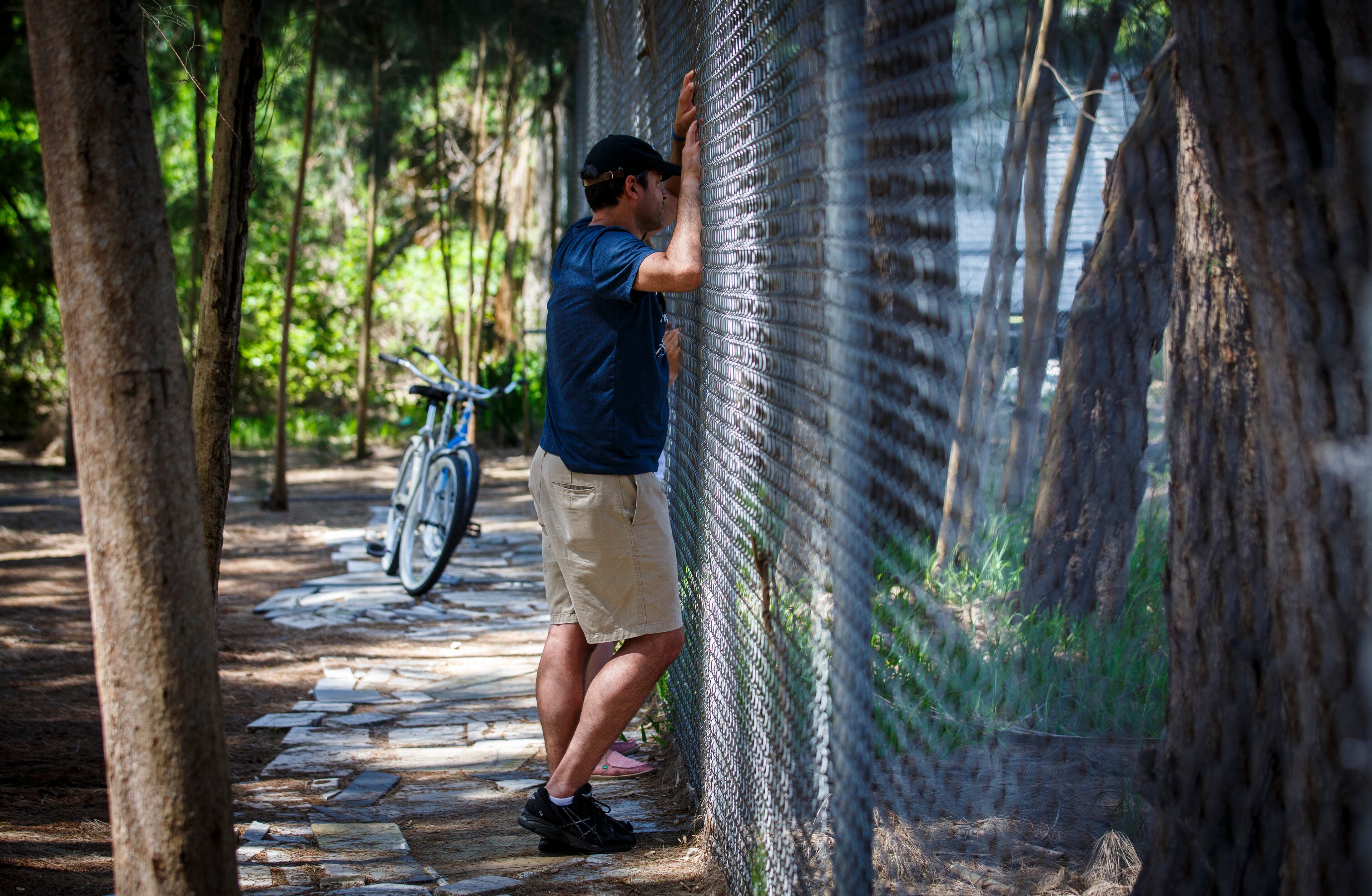 The Pinellas Trail runs along the backside of the Suncoast Primate Sanctuary on May 10, 2014 in Palm Harbor, Florida. Cyclist often pull over and stop to view the chimps that can been seen from the fence.The Suncoast Primate Sanctuary Foundation is non-profit organization that is home to over 70 animals including orangutans, chimpanzees, monkeys, tropical birds and reptiles. Most of the animals that make their home at the sanctuary are their after no longer being able to be cared for as a family pet or retiring from the laboratory and film businesses. The sanctuary is open to the public Thursday through Sunday. VISIT FLORIDA/Scott Audette