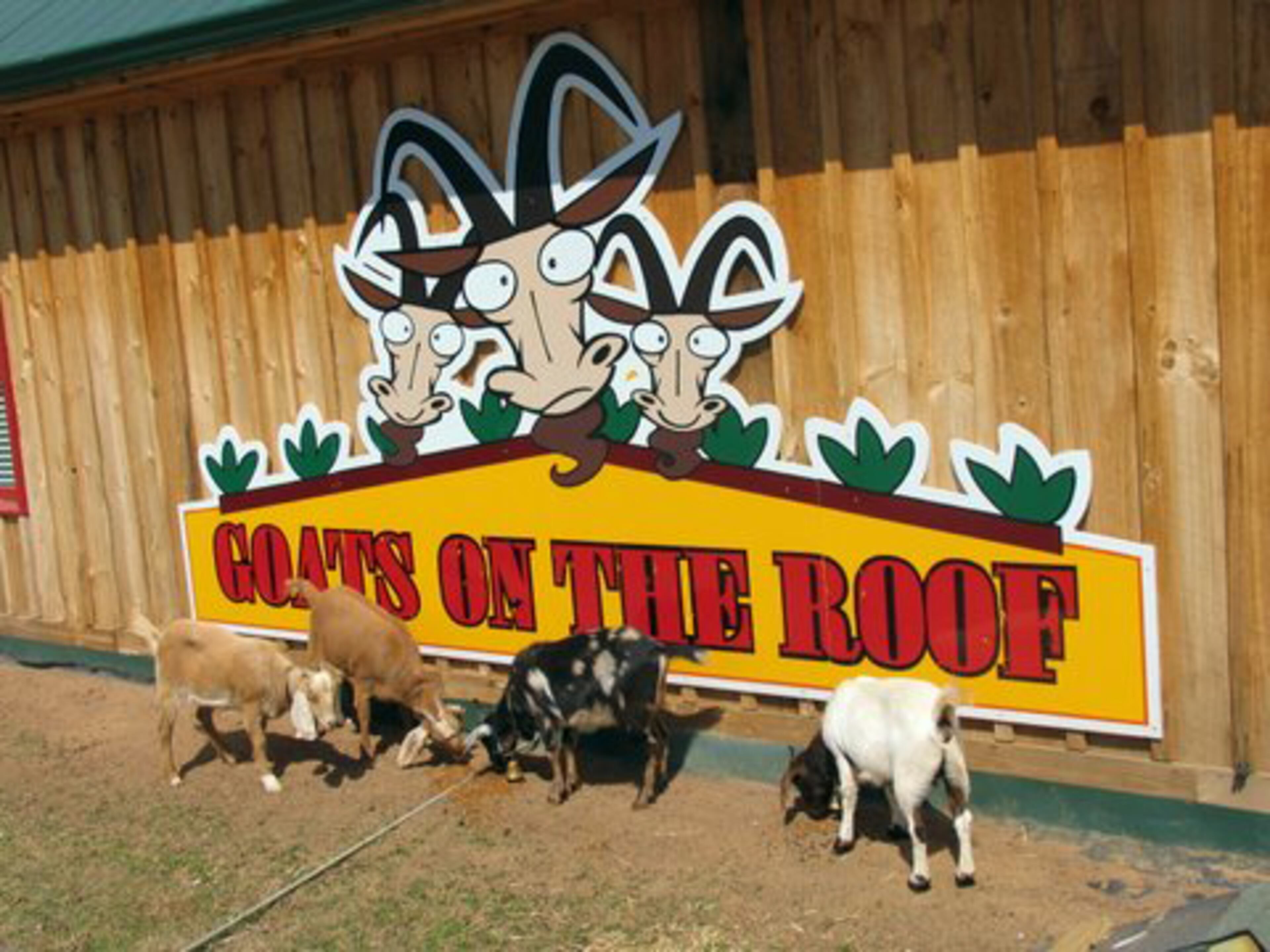 Goats On The Roof -- really, that's the name of the new store outside Helen and an older one near Tiger, Ga. -- is just one hint at the lengths shopkeepers and restaurant owners are going to woo consumers.