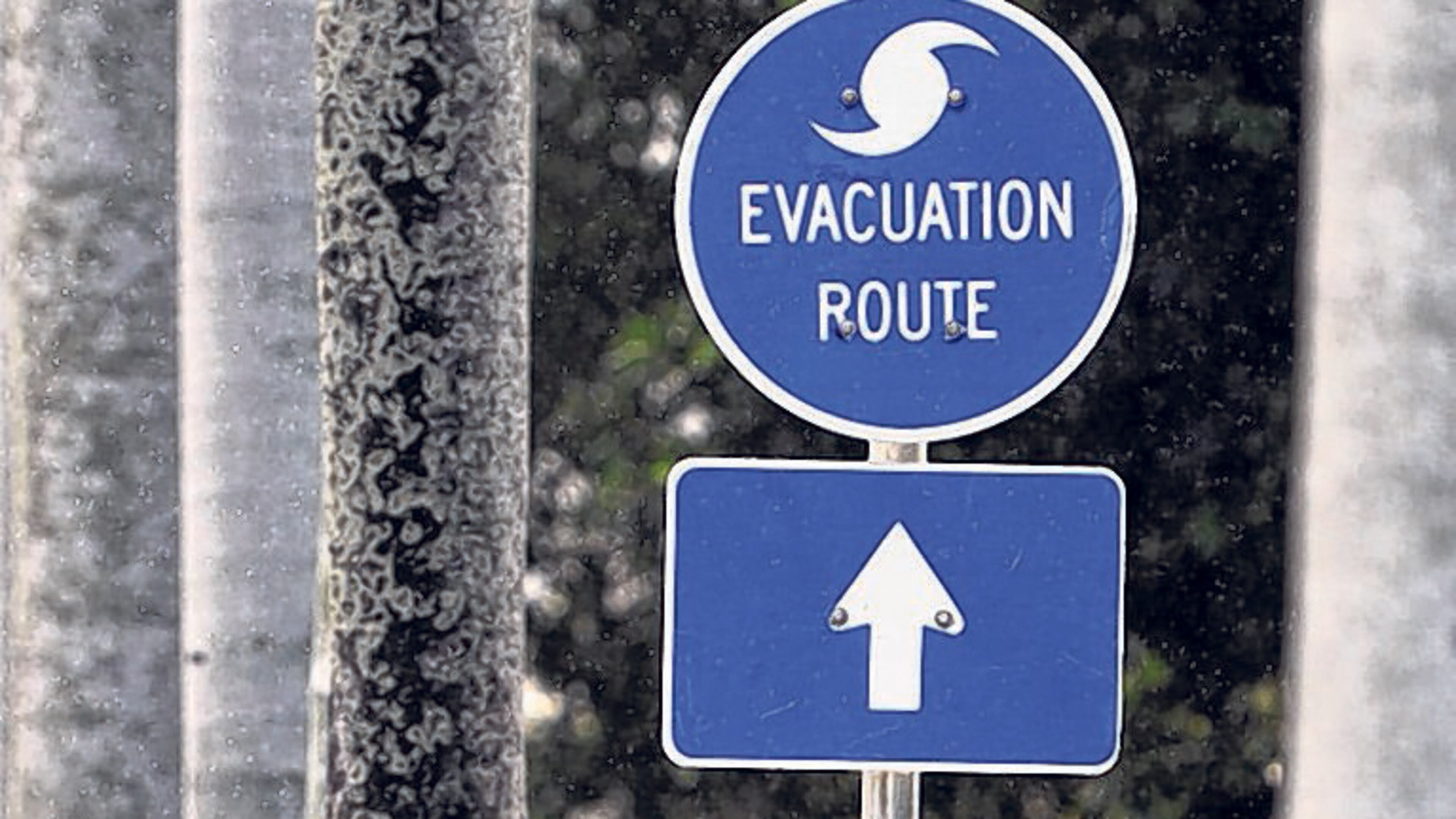 An evacuation route sign on Royal Palm Way in Palm Beach.