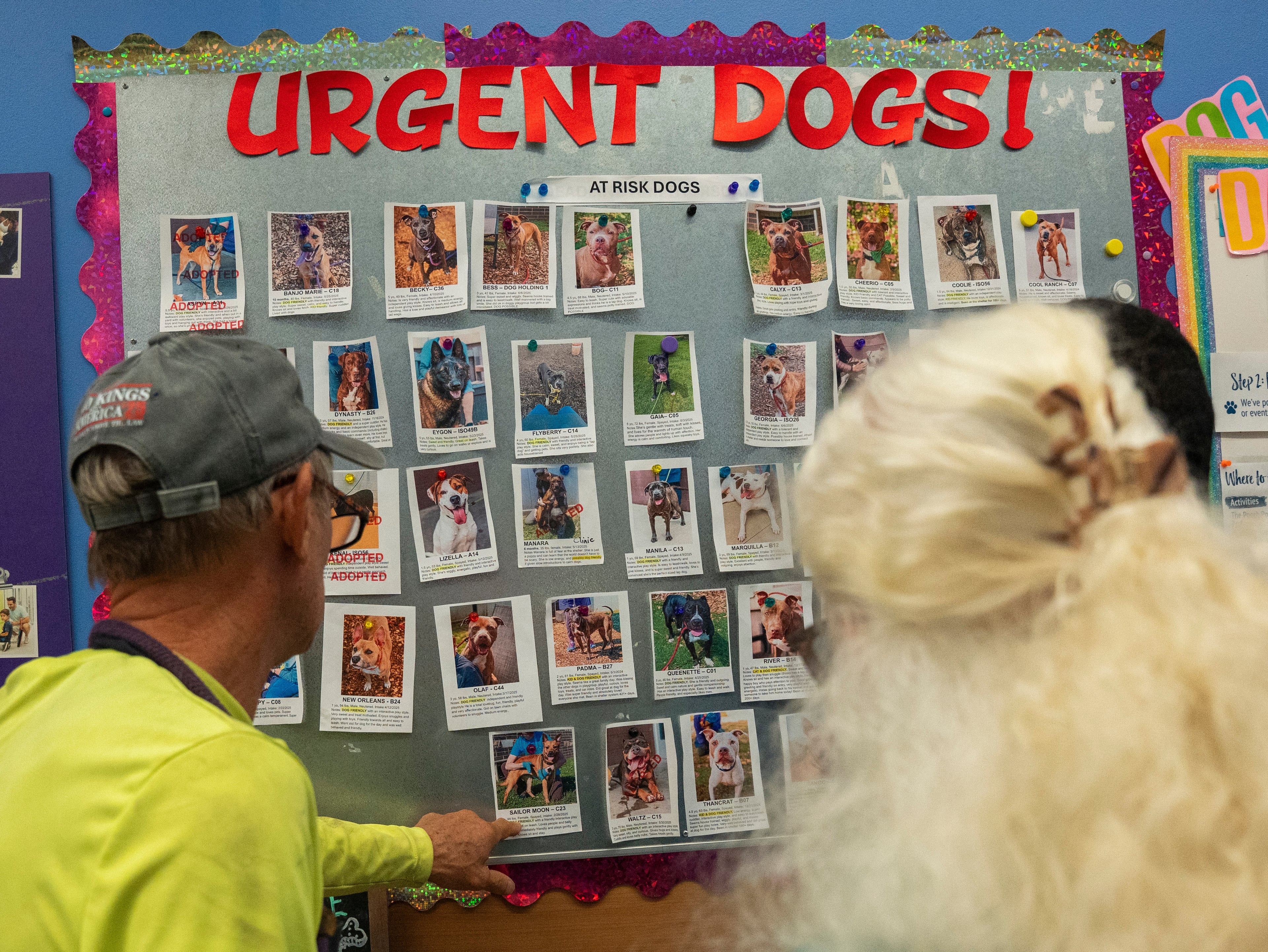 A volunteer shows visitors the dogs at risk for euthanization on a board at the DeKalb Animal Shelter in Chamblee, Georgia, on Tuesday, July 1, 2025. (Olivia Bowdoin for the AJC)