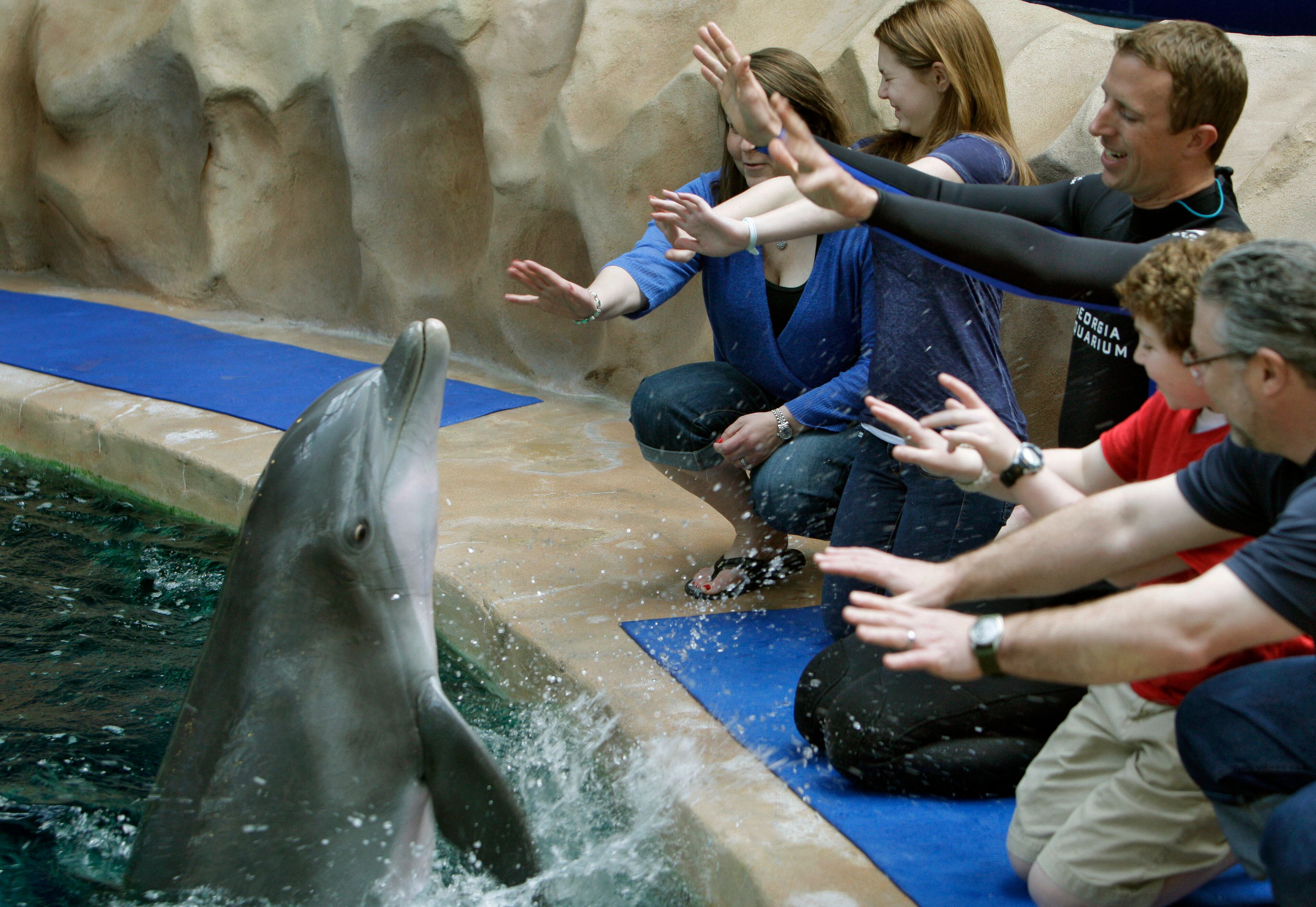 Senior trainer Lloyd Dodge (center) gets the Bernstein family, Melissa (from left), Emily, Zack and Michael, up close with a dolphin. Yes, you will get wet!