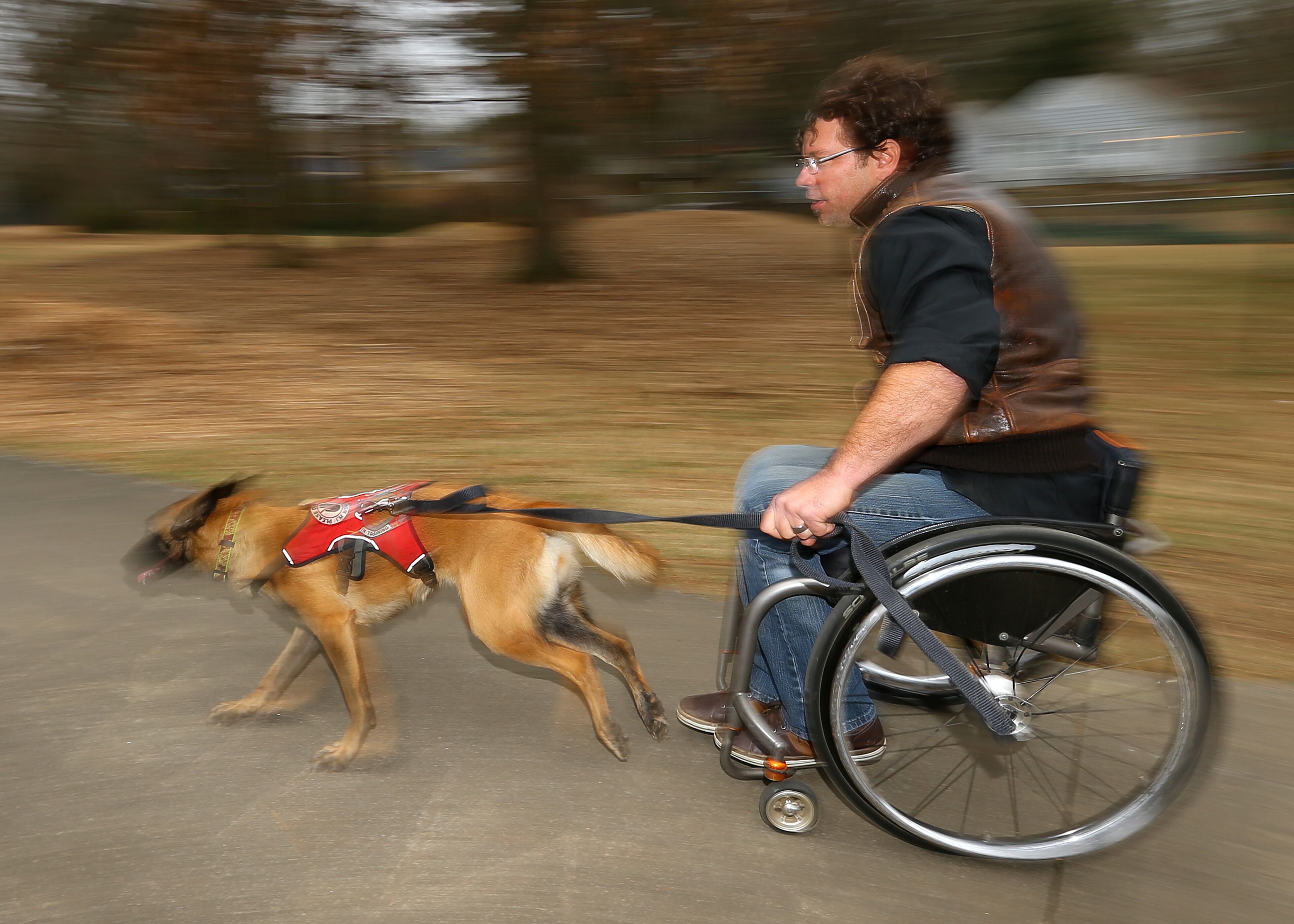 Wheelchair racer Pete Anziano and his dog Amelie get some speed going taking a hill during a training run near his home on Thursday, Jan. 9, 2014, in Decatur. Click here to read more about Anziano, his dogs and his sport.