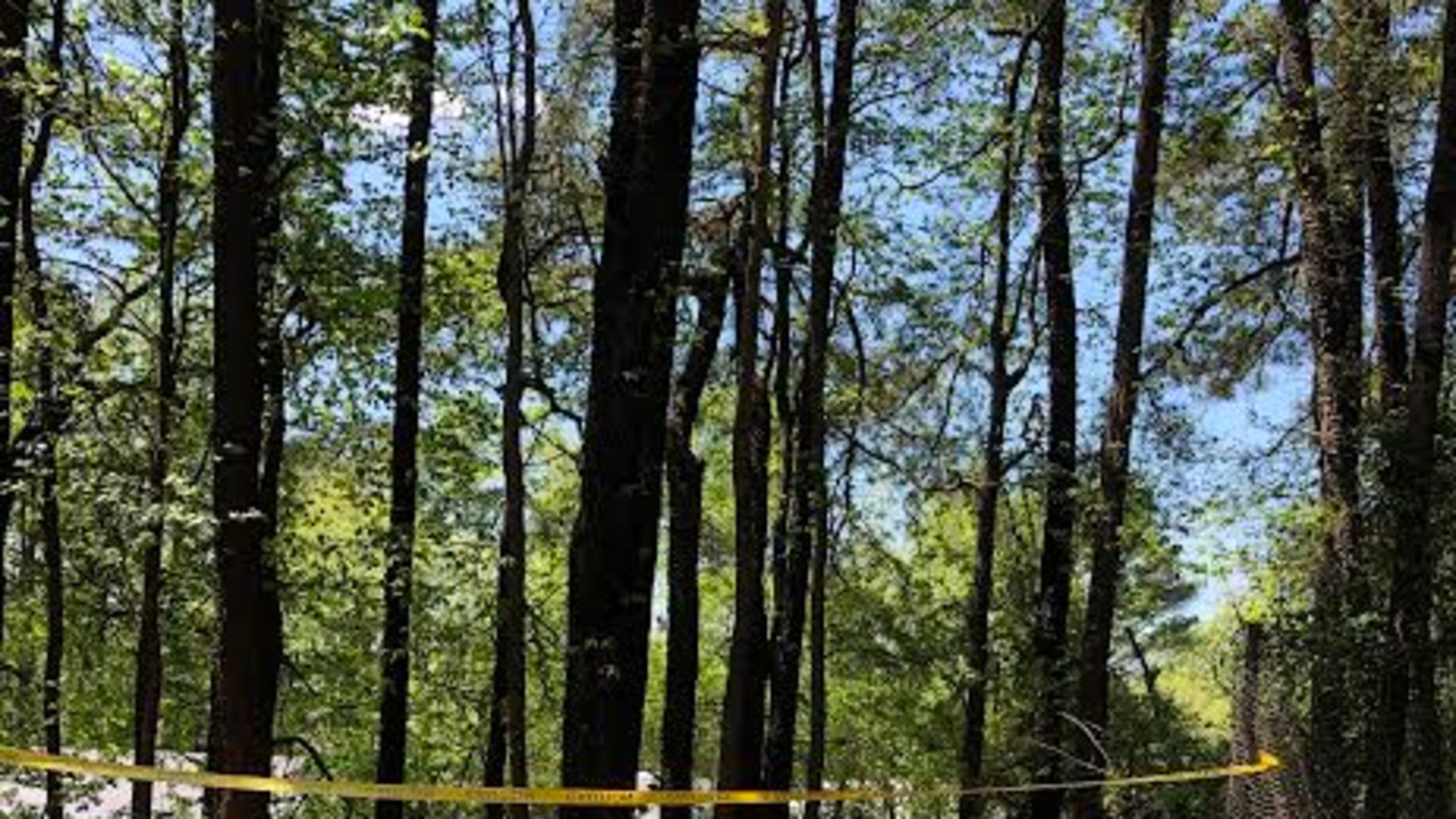 Rita Valenti wants a barrier replaced near 1-285 in DeKalb County. Photo/Rita Valenti.