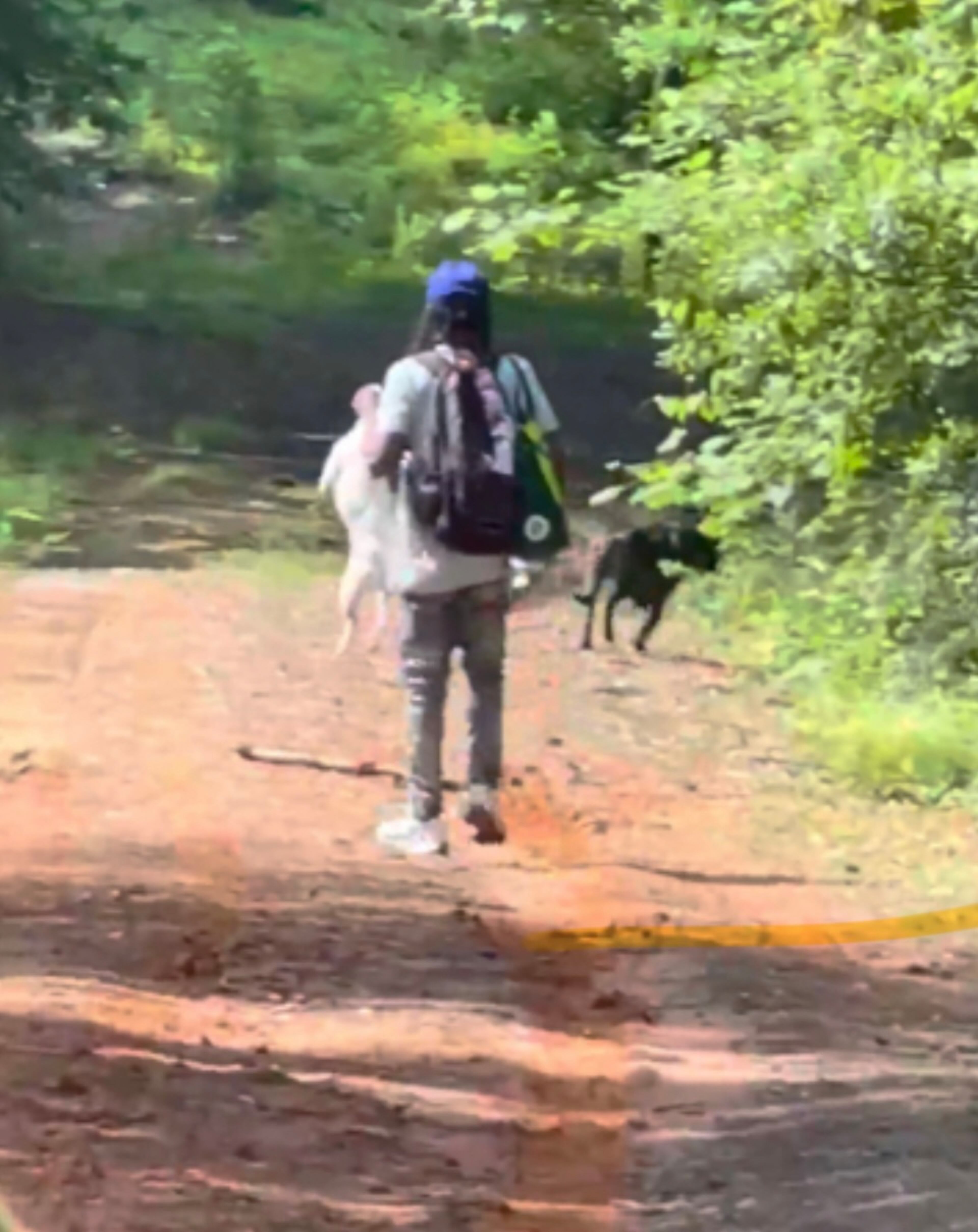 A resident shot a video of a man carrying a dog at a property where a 79-year-old woman was later attacked by a pack of dogs. The victim, Jane Sparks, believes this was the man she encountered after the attack. (Courtesy)