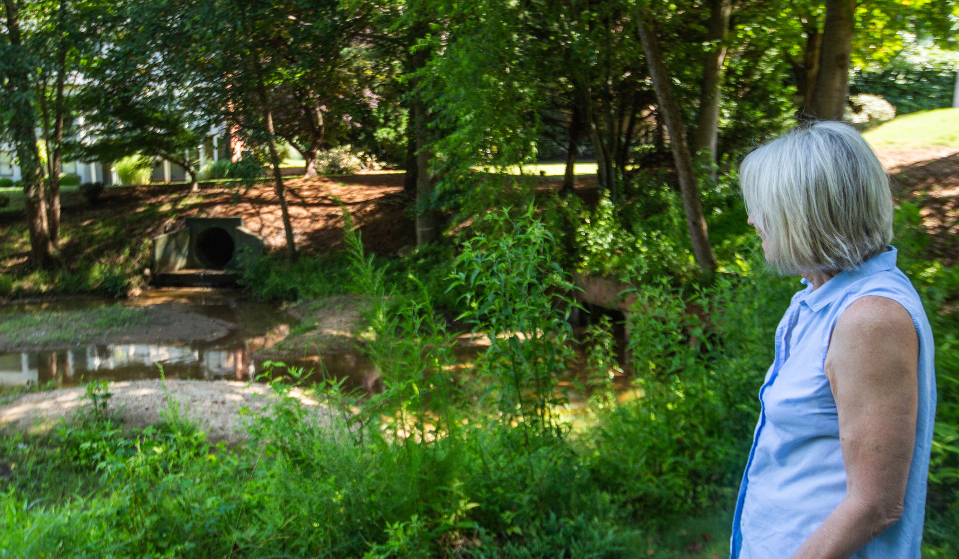 Anne Harriman, treasurer of the Medlock Bridge subdivision HOA in Johns Creek, points out silt sandbars that have reformed after the community paid about $500,000 to dredge the lake to remove it. (Jenni Girtman for The Atlanta Journal-Constitution)