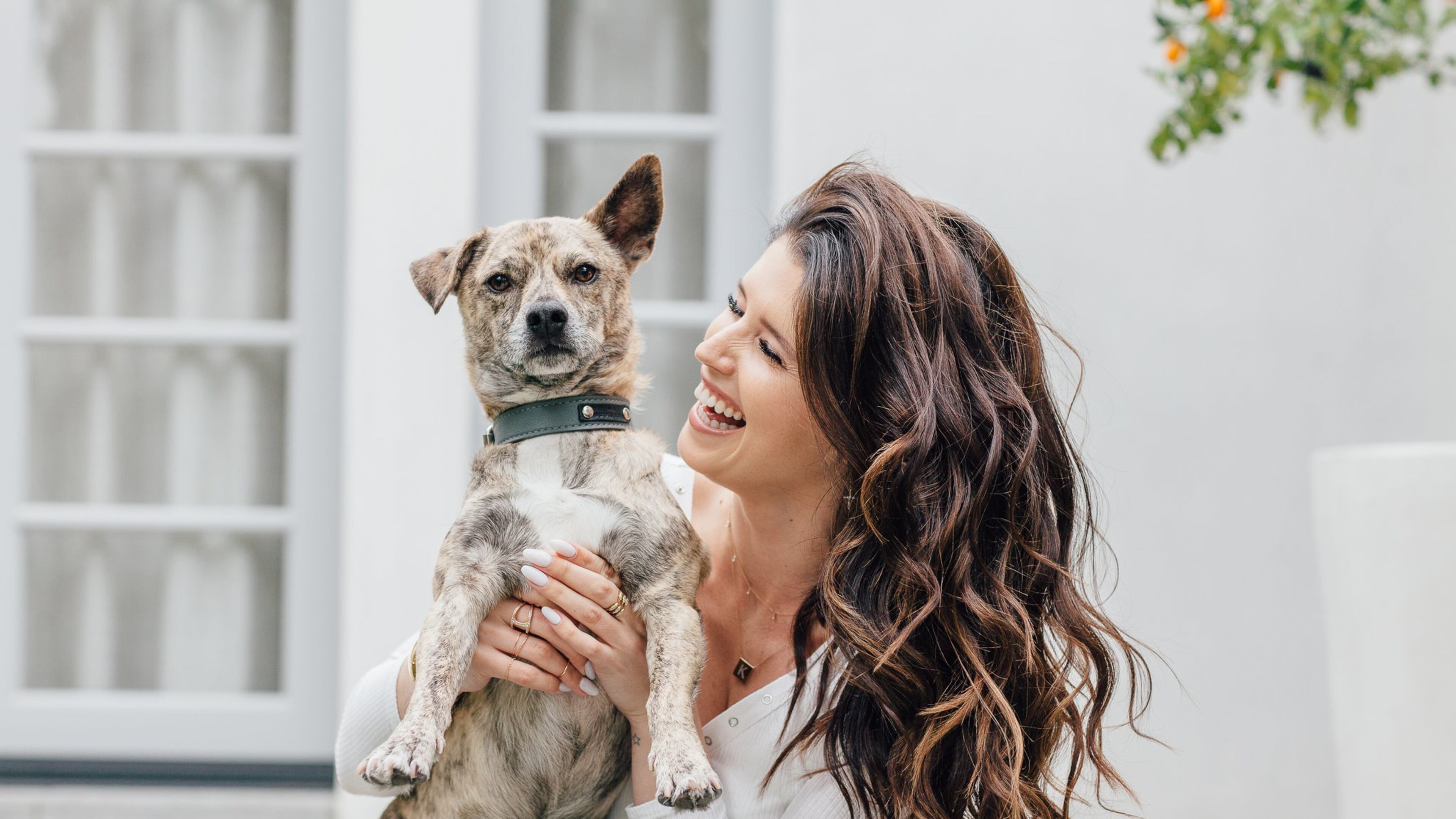 Katherine Schwarzenegger’s first children’s book, “Maverick and Me,” was inspired by her own rescue dog, Maverick. CONTRIBUTED BY AZUSA TAKANO