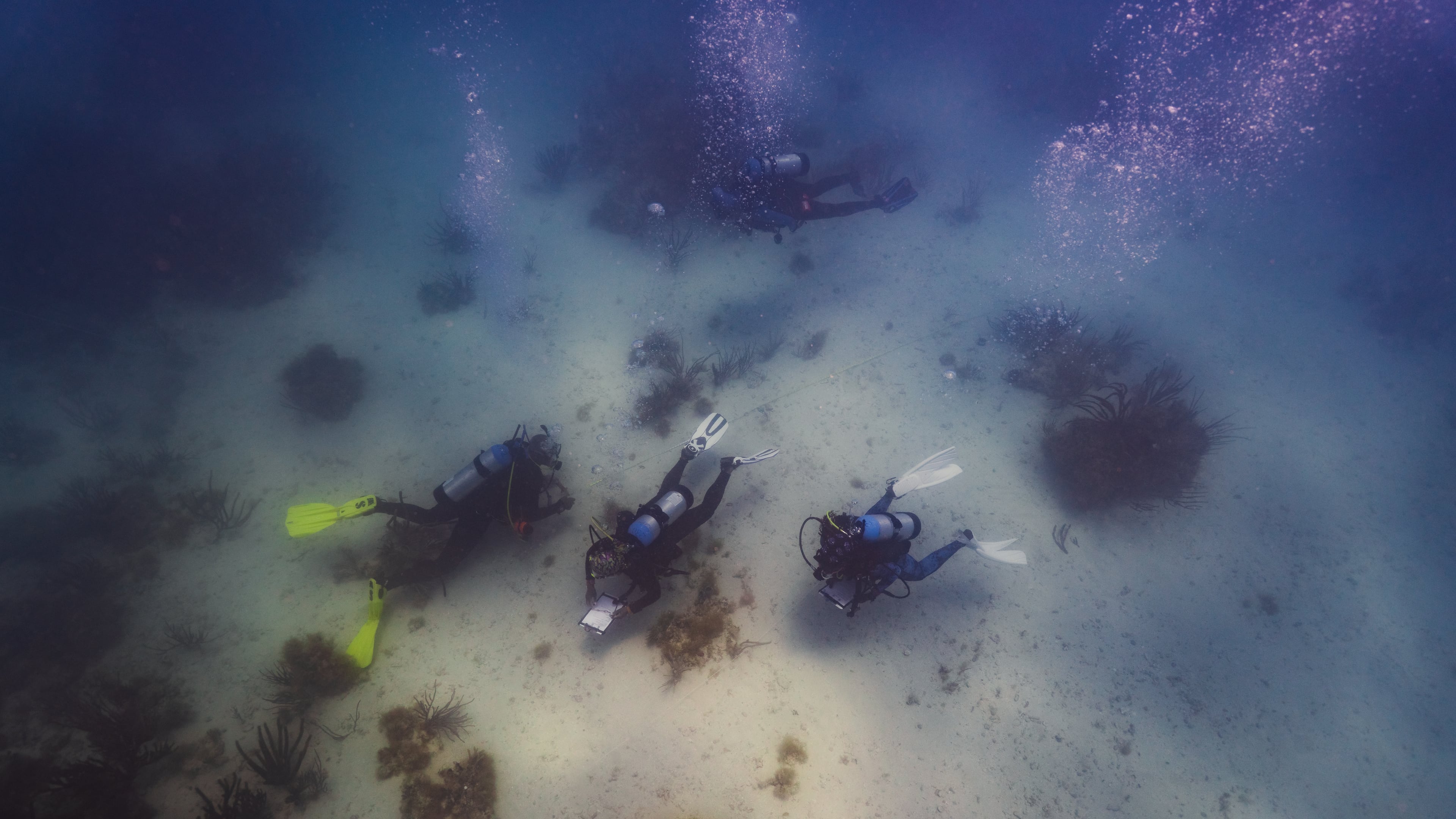 In this photo provided by Kory Lamberts, Black divers with the Underwater Adventure Seekers visit the wreck site of the Henrietta Marie, a British slave ship which sank in 1700 in the waters off the coast of Key West, Fla., Friday, May 8, 2026. (Kory Lamberts/Aquatic Futures Foundation via AP)