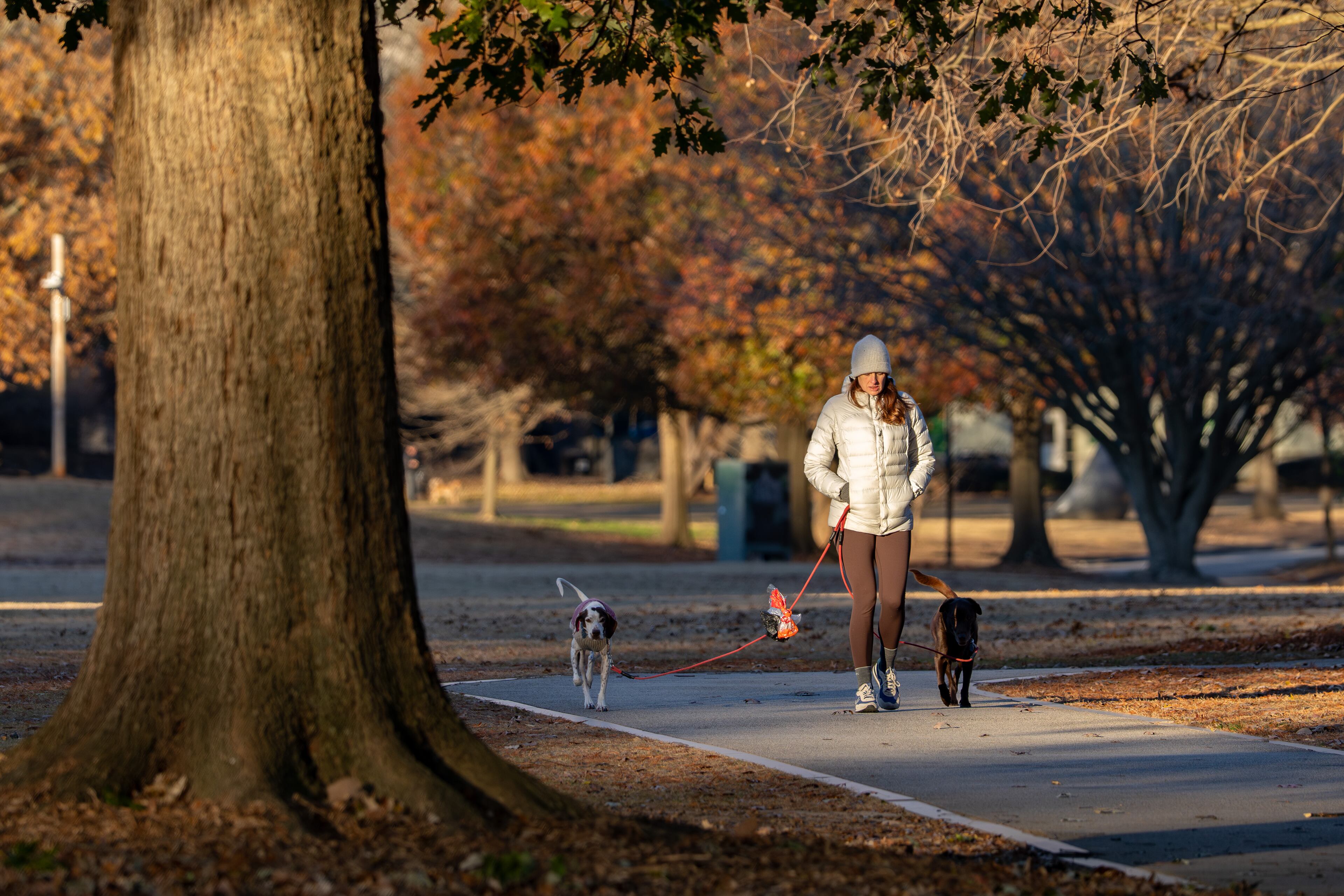 A woman braves Monday's freezing temperatures as she walks two dogs through Piedmont Park. (Ben Hendren for the AJC)