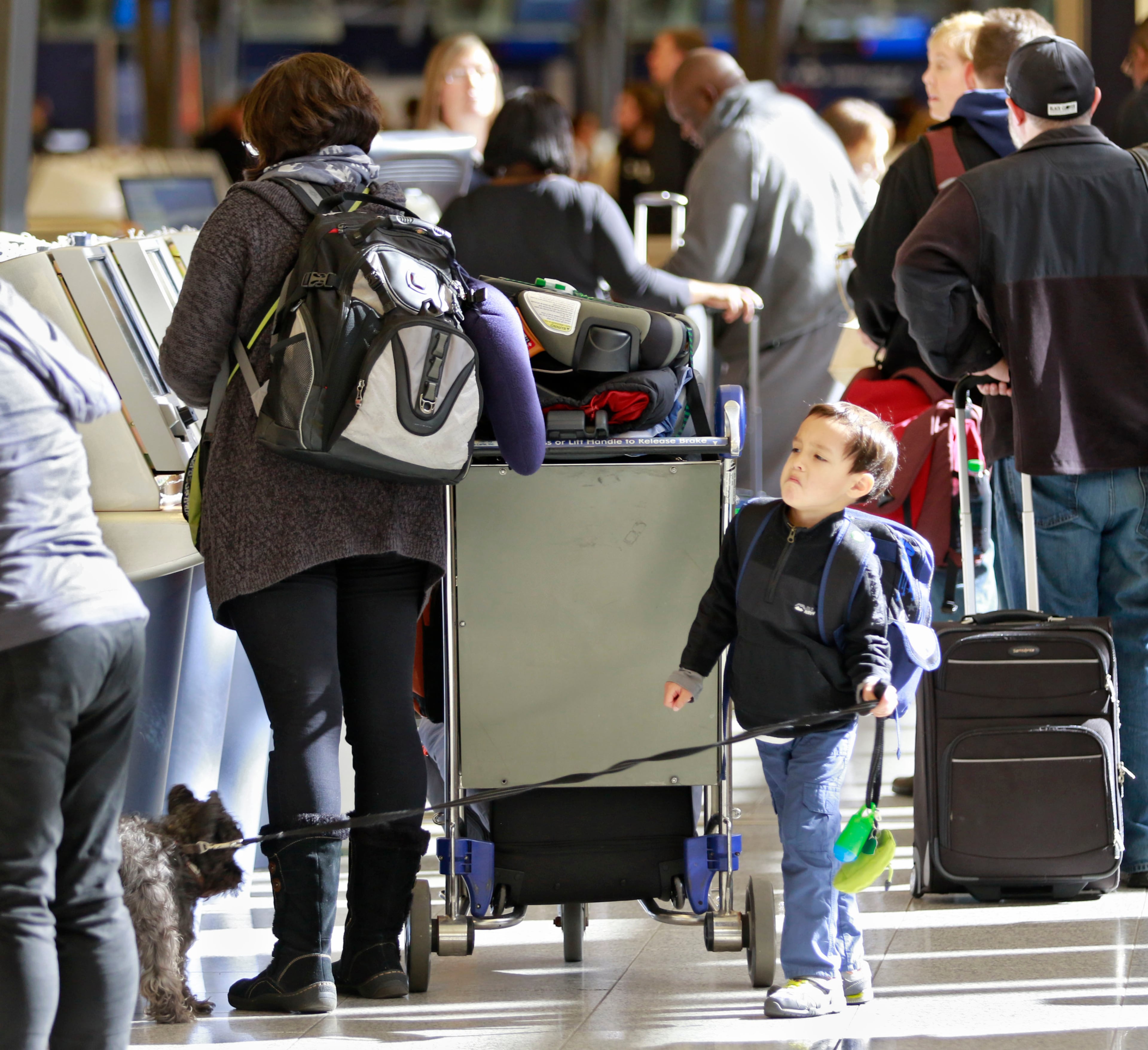 Kellan Trawny, 5, from Smyrna, keeps watch on the family dog while his mom checks in at the Delta Kiosk. Record crowds are expected along with long lines and delays at Hartsfield-Jackson Atlanta International Airport, the world's busiest airport, which is forecasting some of the biggest increases in traffic it has seen in years. BOB ANDRES / BANDRES@AJC.COM